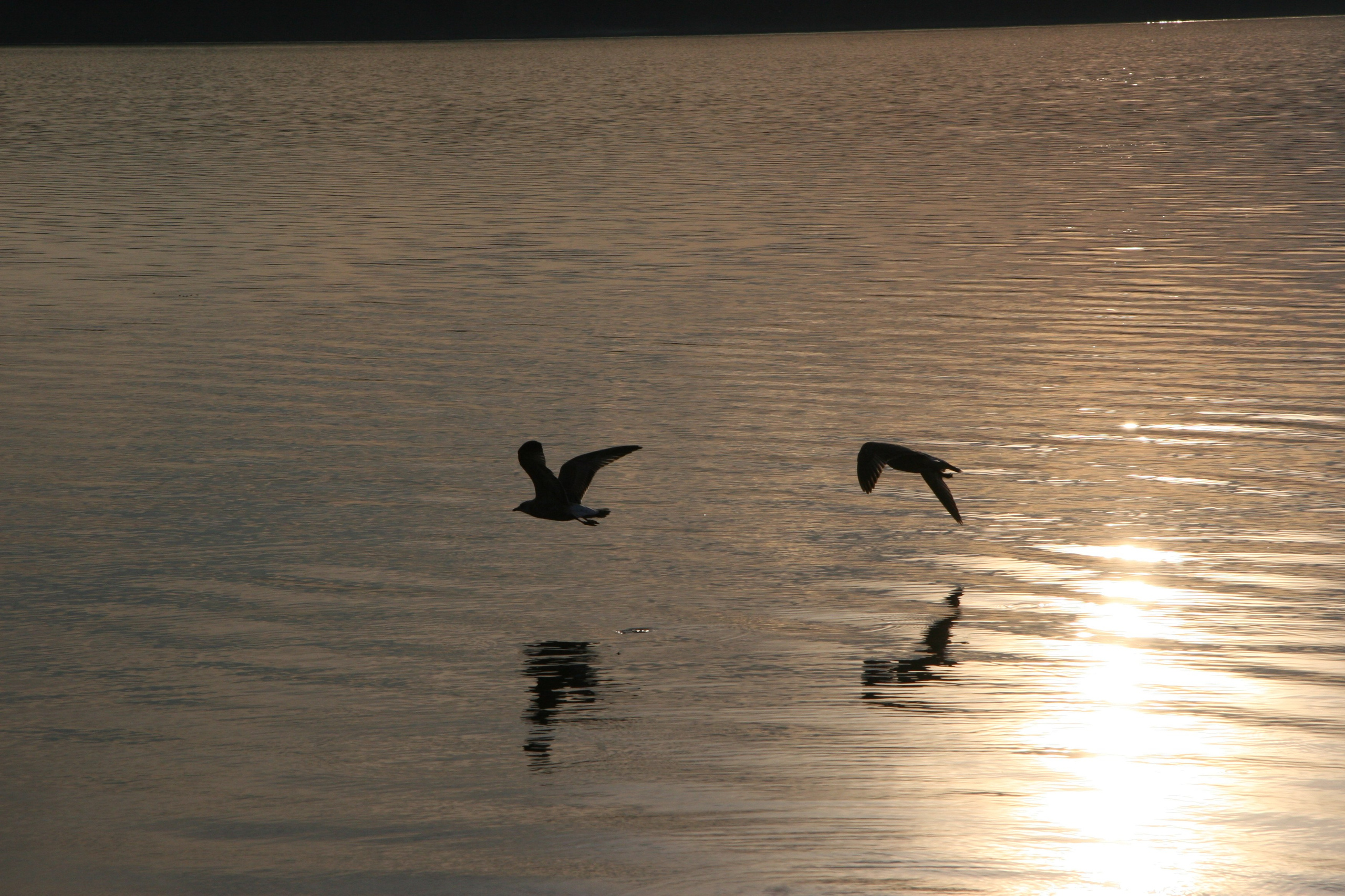 Фото Природы Забайкалья. Студия Максима Белослюдцева