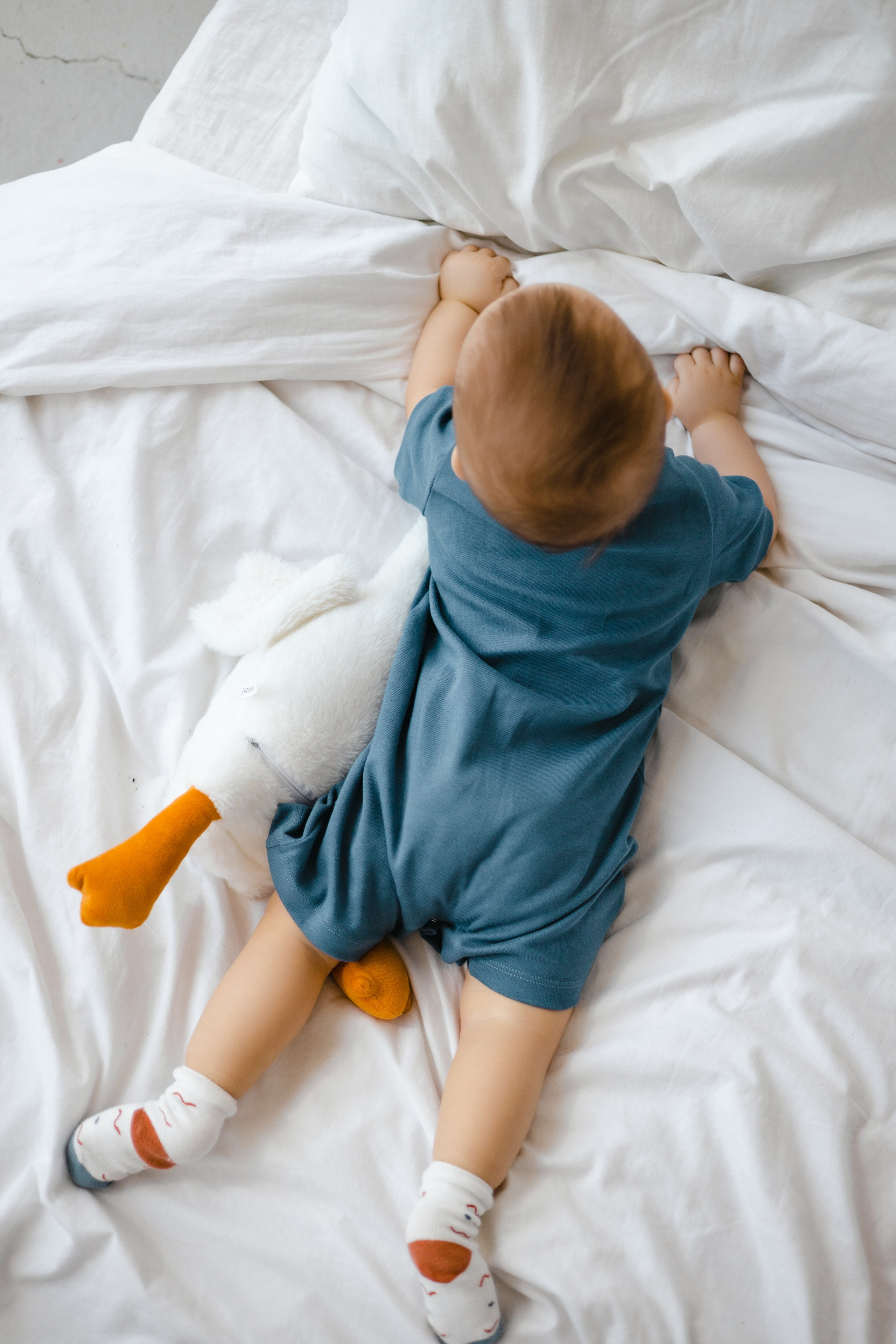 Годовасие Александра. СЕМЕЙНЫЙ И ПРЕДМЕТНЫЙ ФОТОГРАФ — ЛЕНА ГОНЧАР | КРАСНОДАР | МАЙКОП