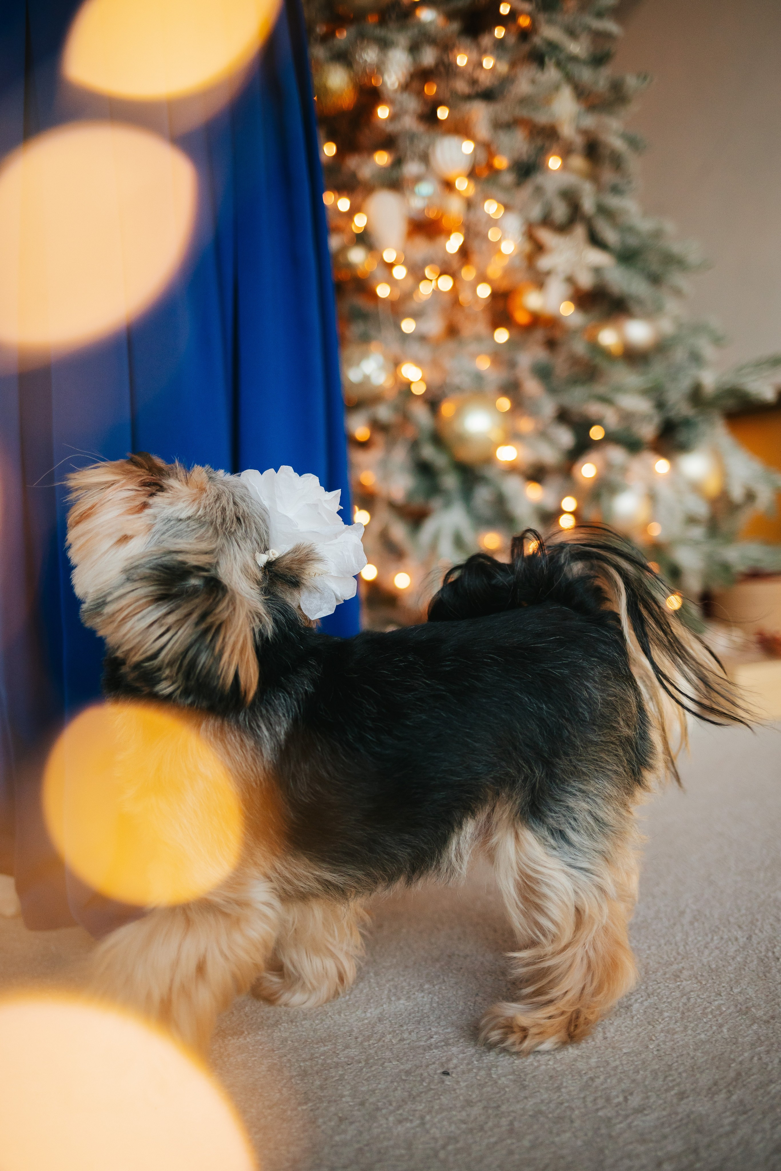 Артур, Оля и Серёжа. Семейный lifestyle фотограф в Санкт-Петербурге Людмила Пахомова