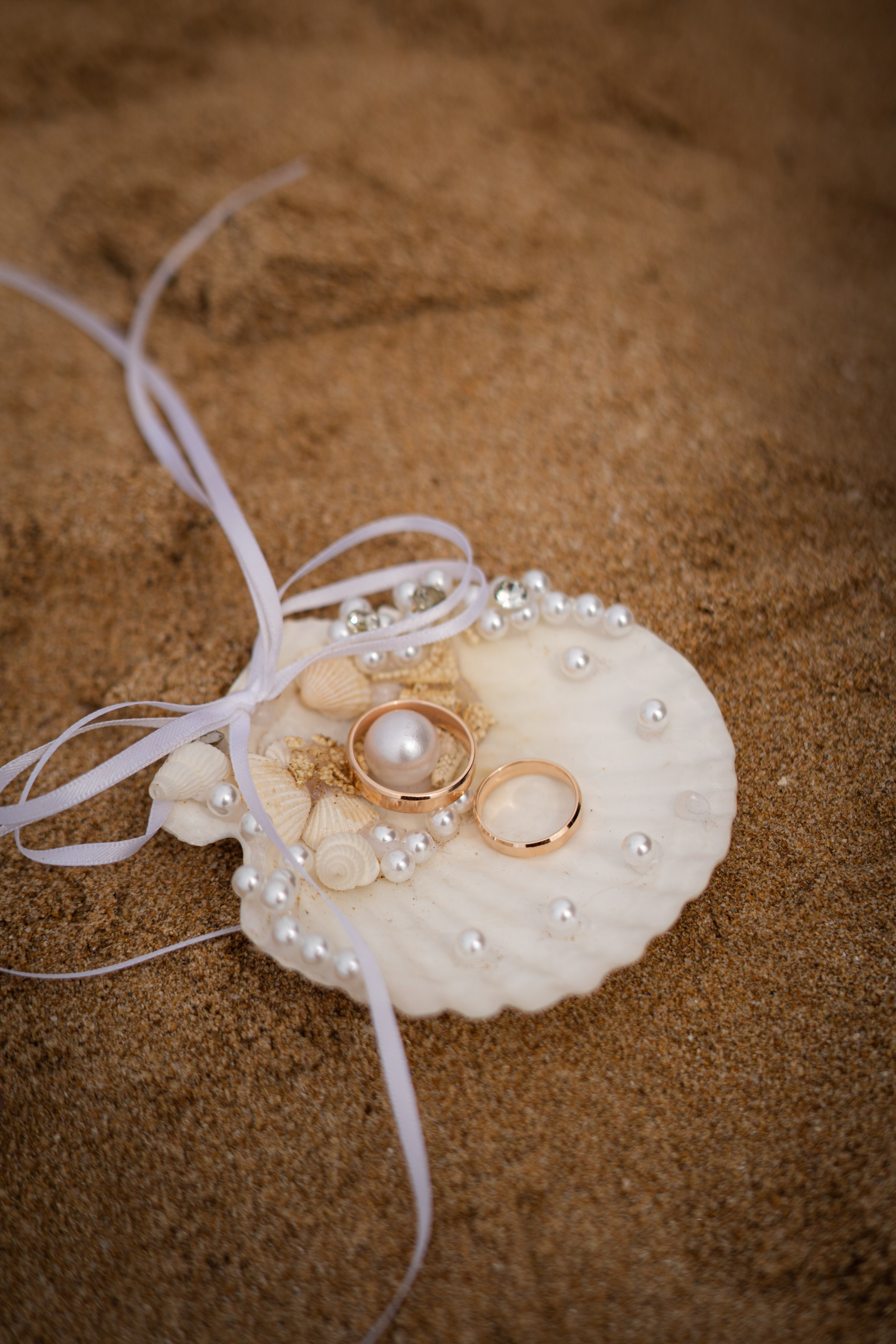 Nikita & Anna Wedding Day in Bentota Club Hotel