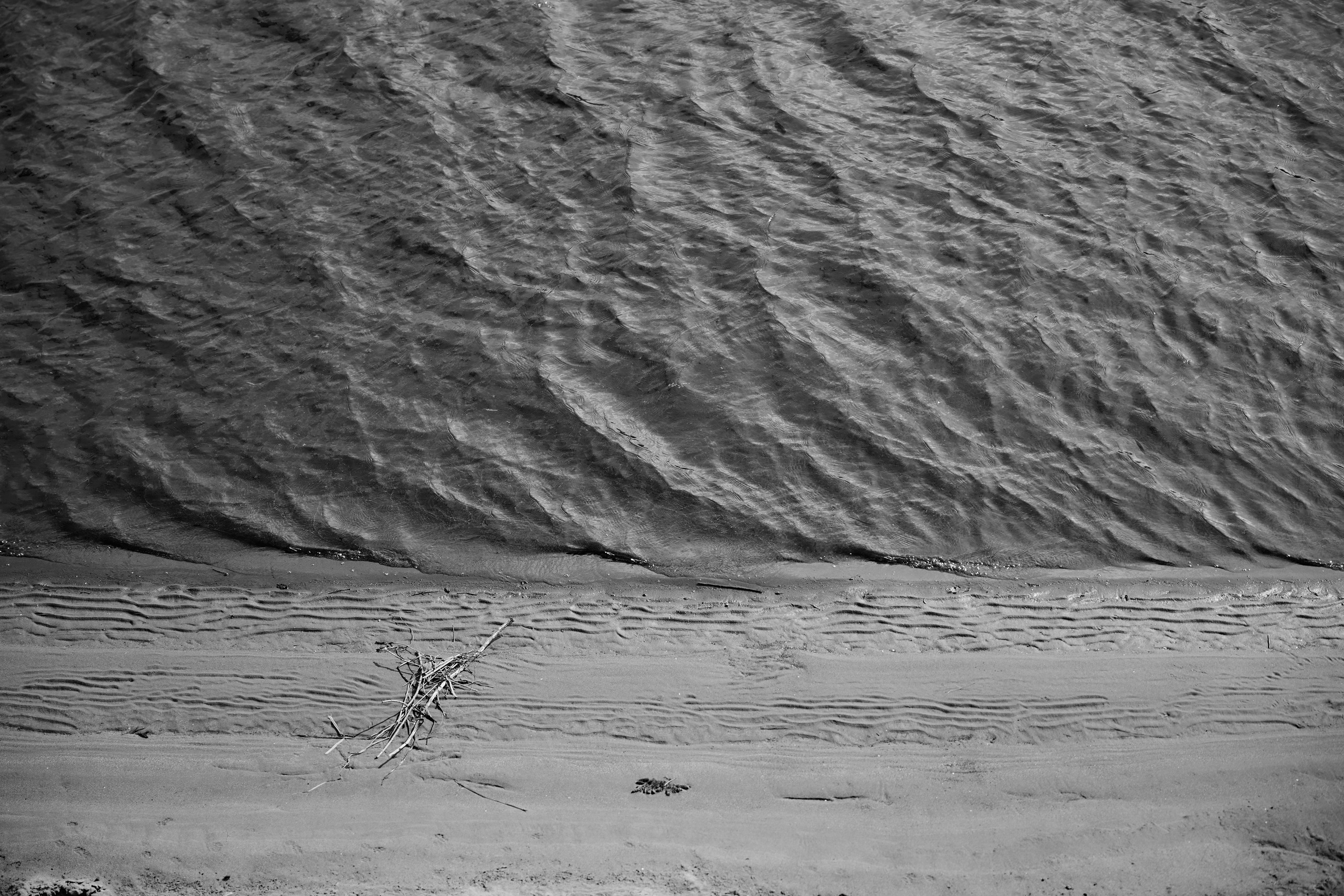 Свадебный фотограф Соколов Валерий