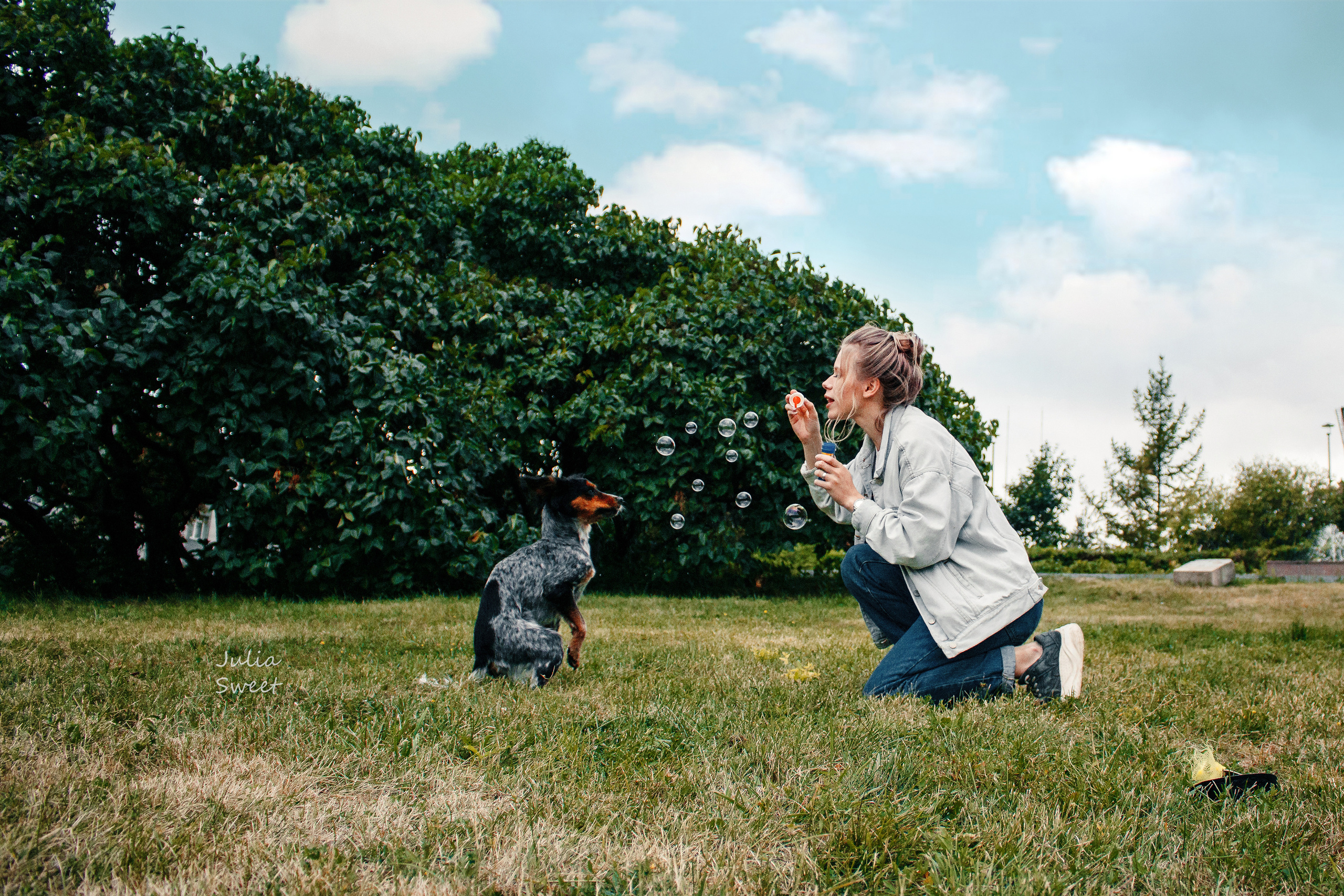 Настя с любимыми собачками. Свадебный и портретный фотограф в Липецке Юлия Свит