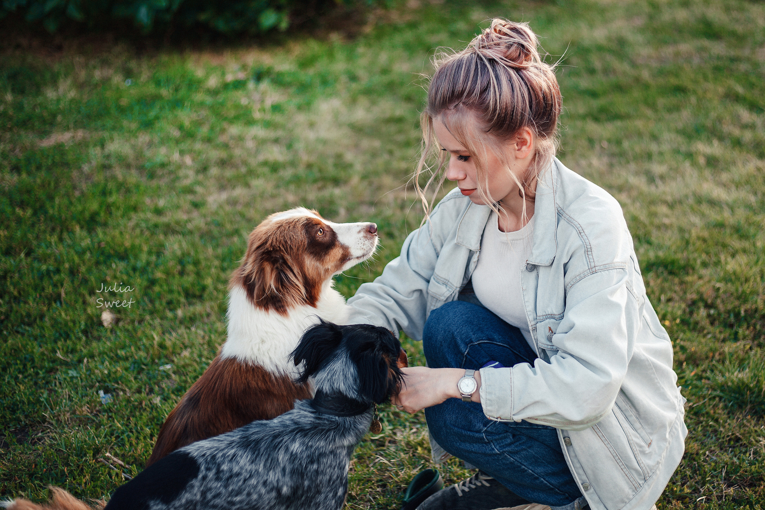 Настя с любимыми собачками. Свадебный и портретный фотограф в Липецке Юлия Свит