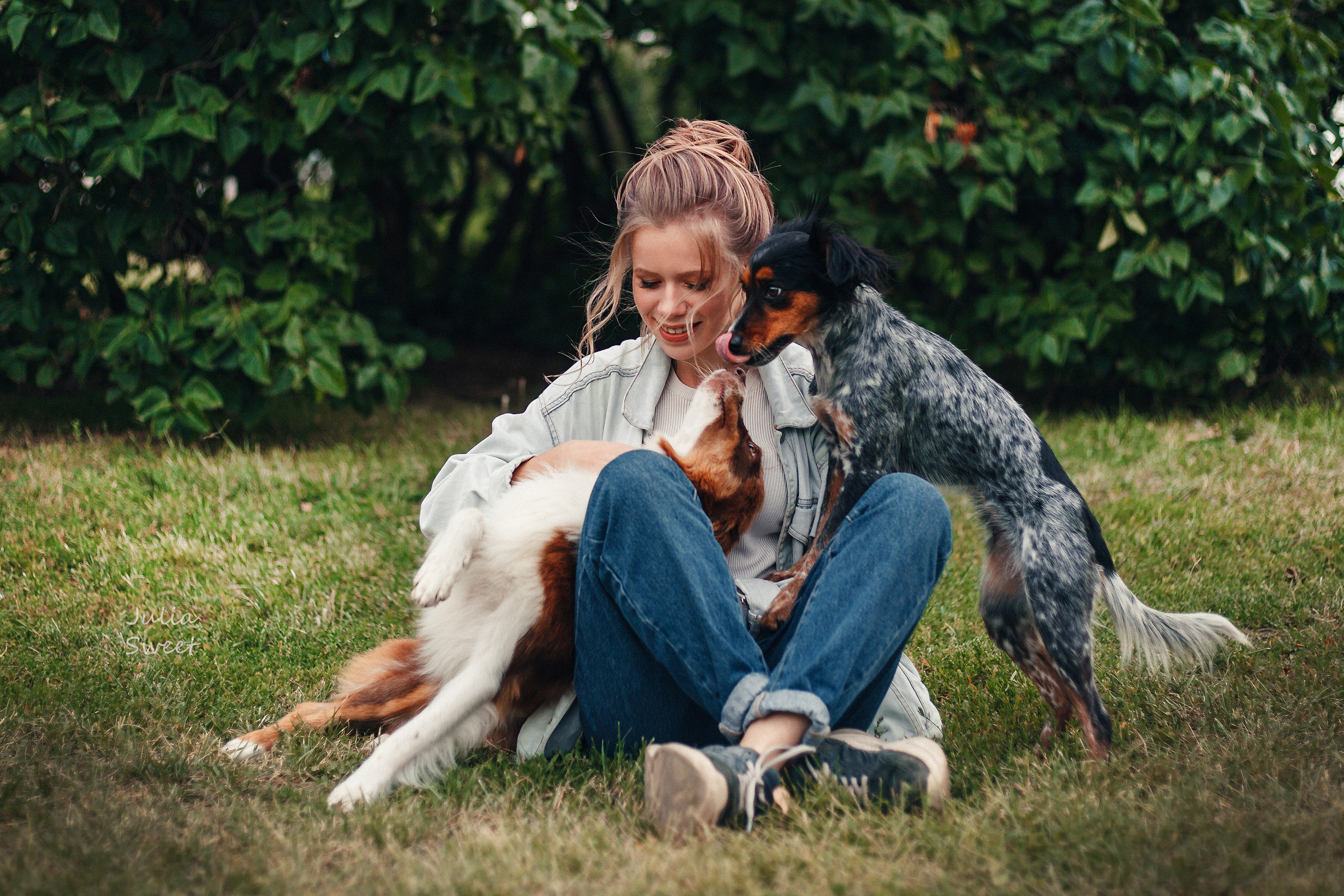 Настя с любимыми собачками. Свадебный и портретный фотограф в Липецке Юлия Свит