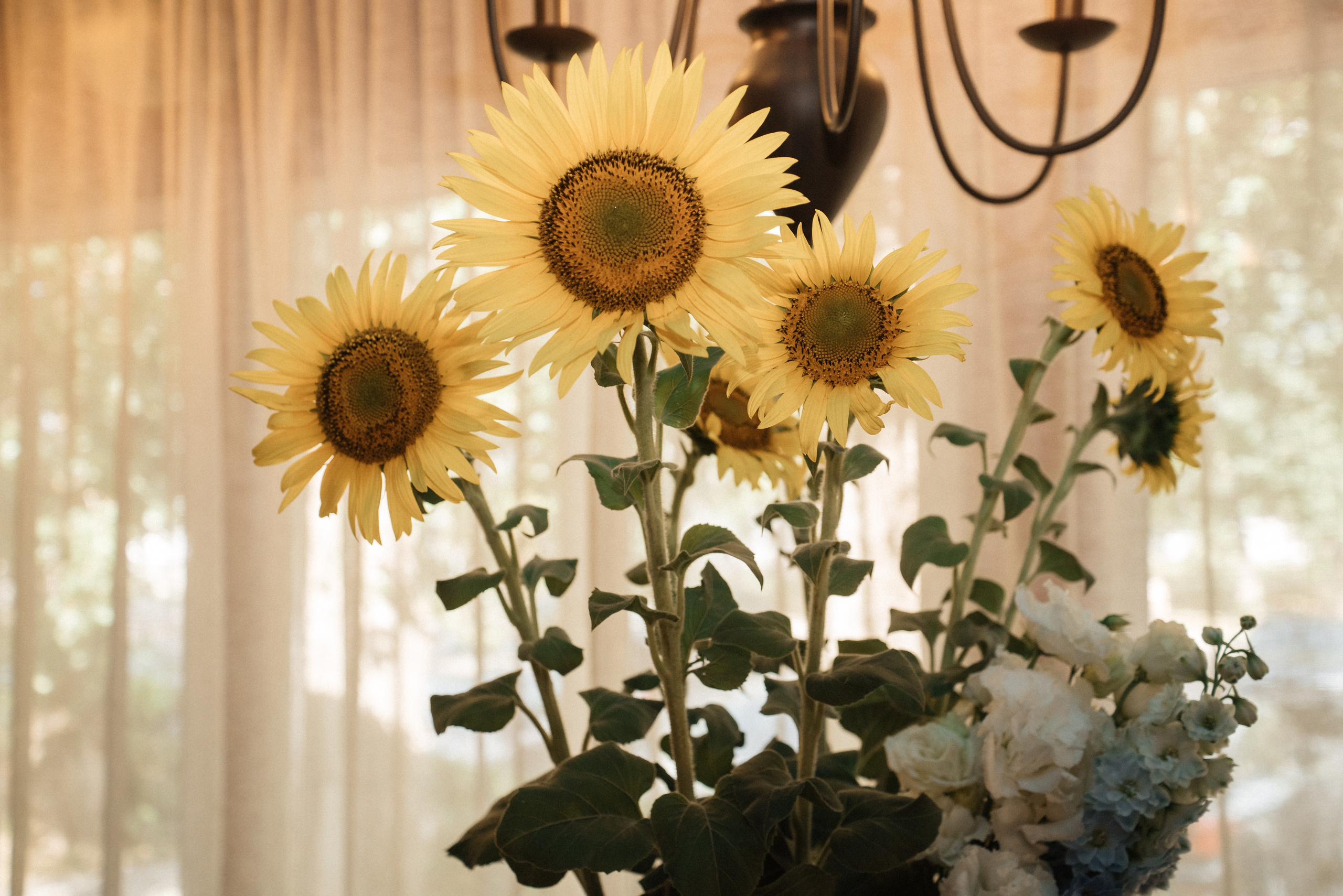 День рождения Вари (1 годик). Свадебный и портретный фотограф в Липецке Юлия Свит