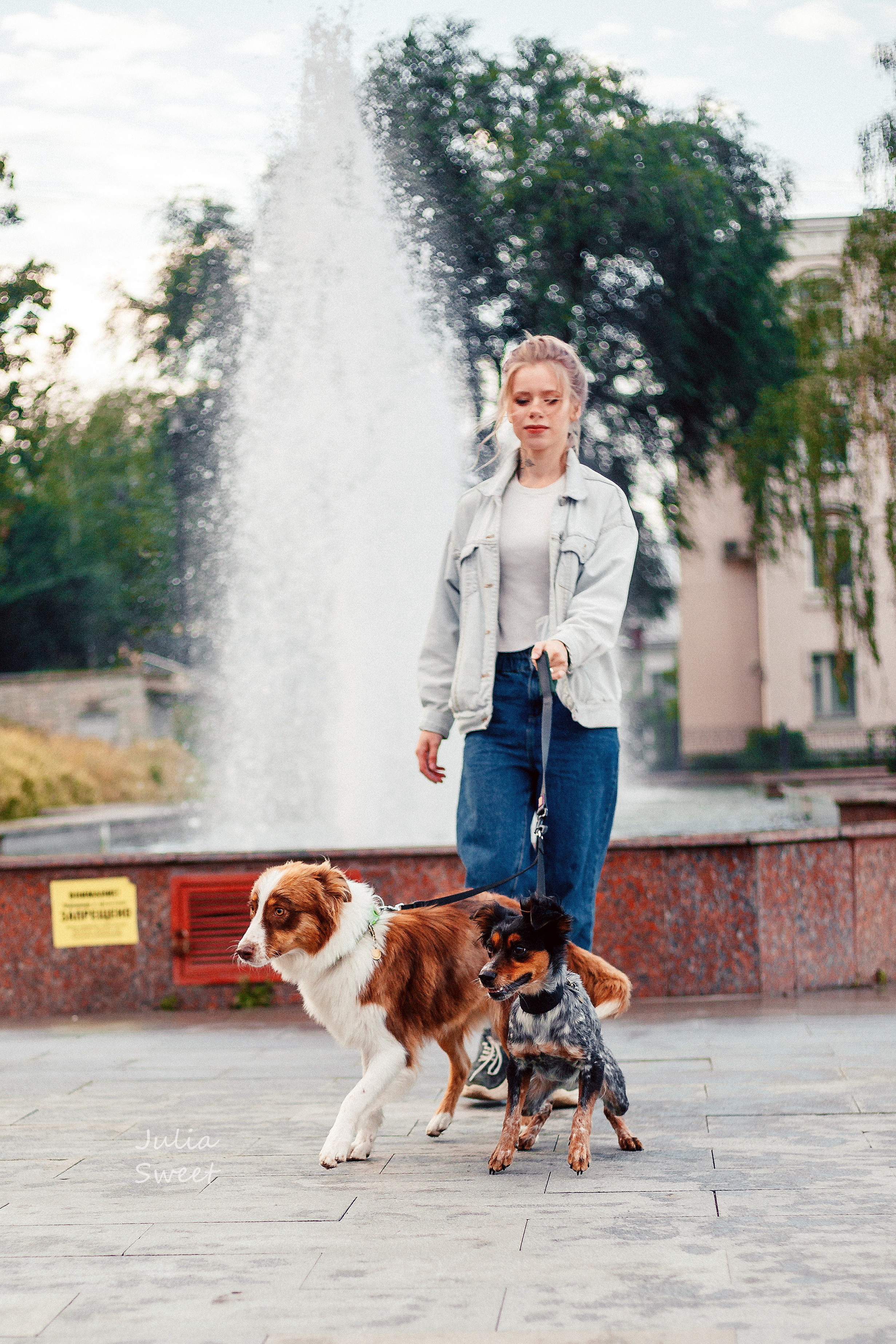 Настя с любимыми собачками. Свадебный и портретный фотограф в Липецке Юлия Свит