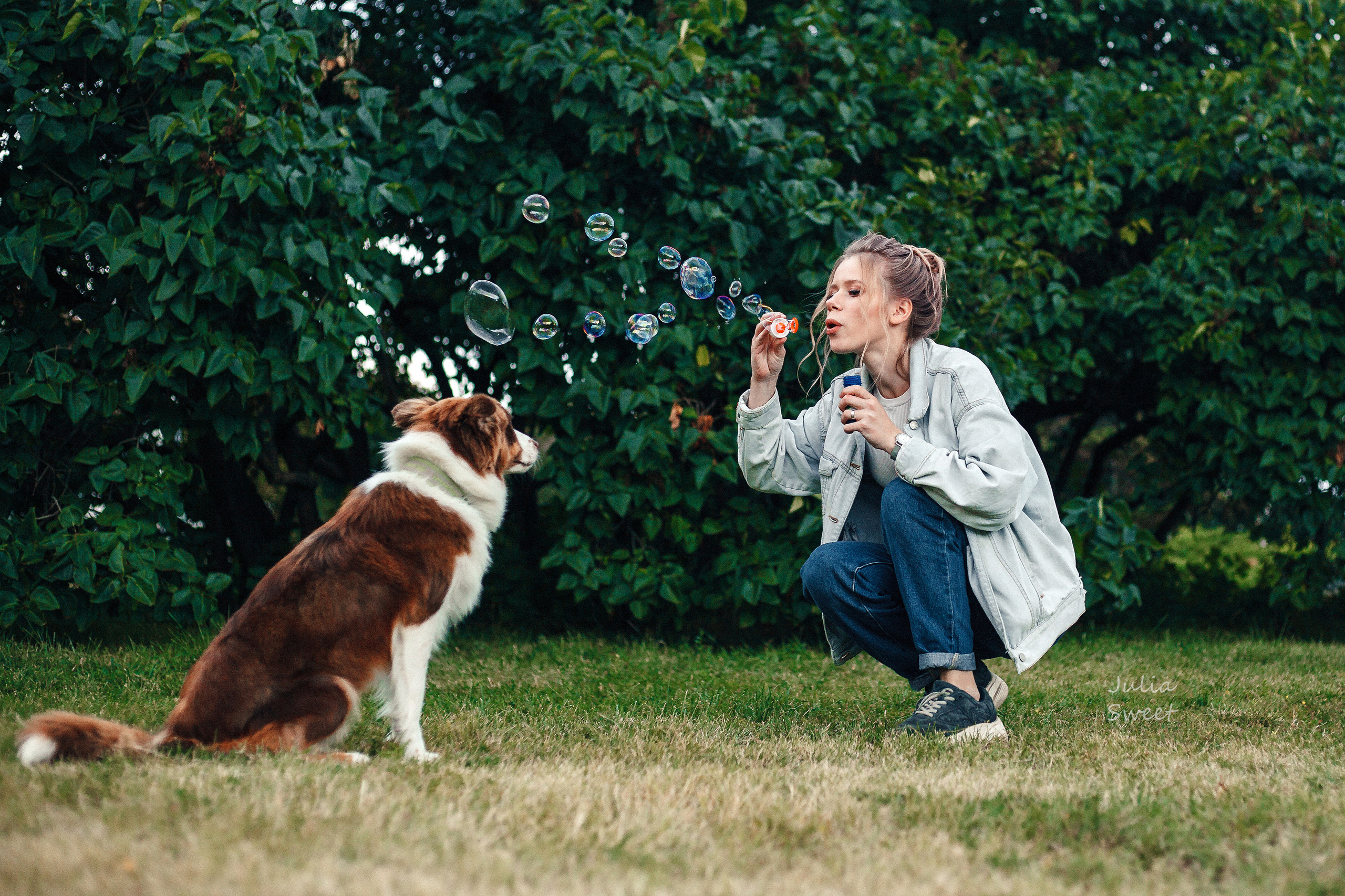 Настя с любимыми собачками. Свадебный и портретный фотограф в Липецке Юлия Свит