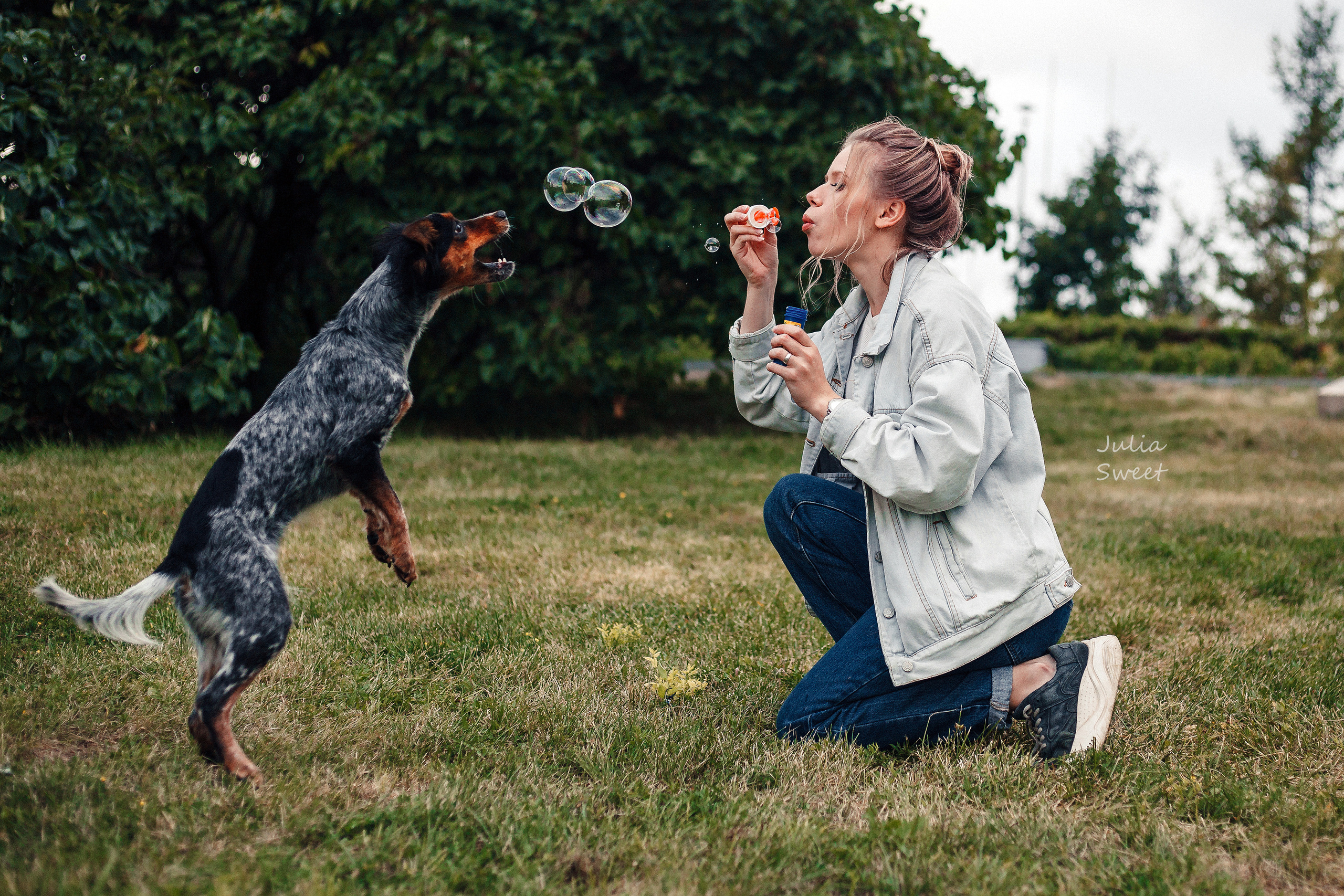 Настя с любимыми собачками. Свадебный и портретный фотограф в Липецке Юлия Свит