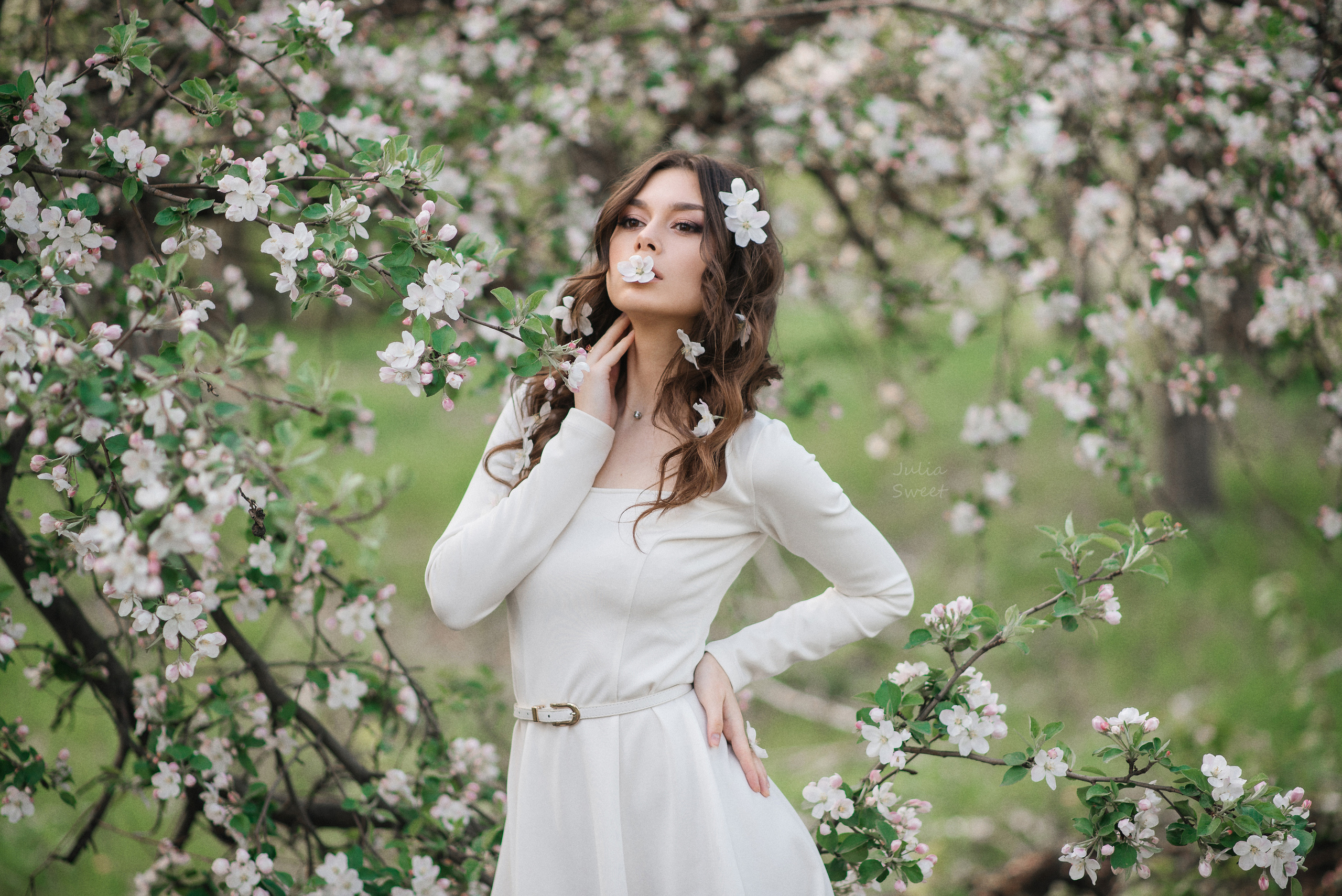 Нежная Настя в цветущих яблонях. Свадебный и портретный фотограф в Липецке Юлия Свит