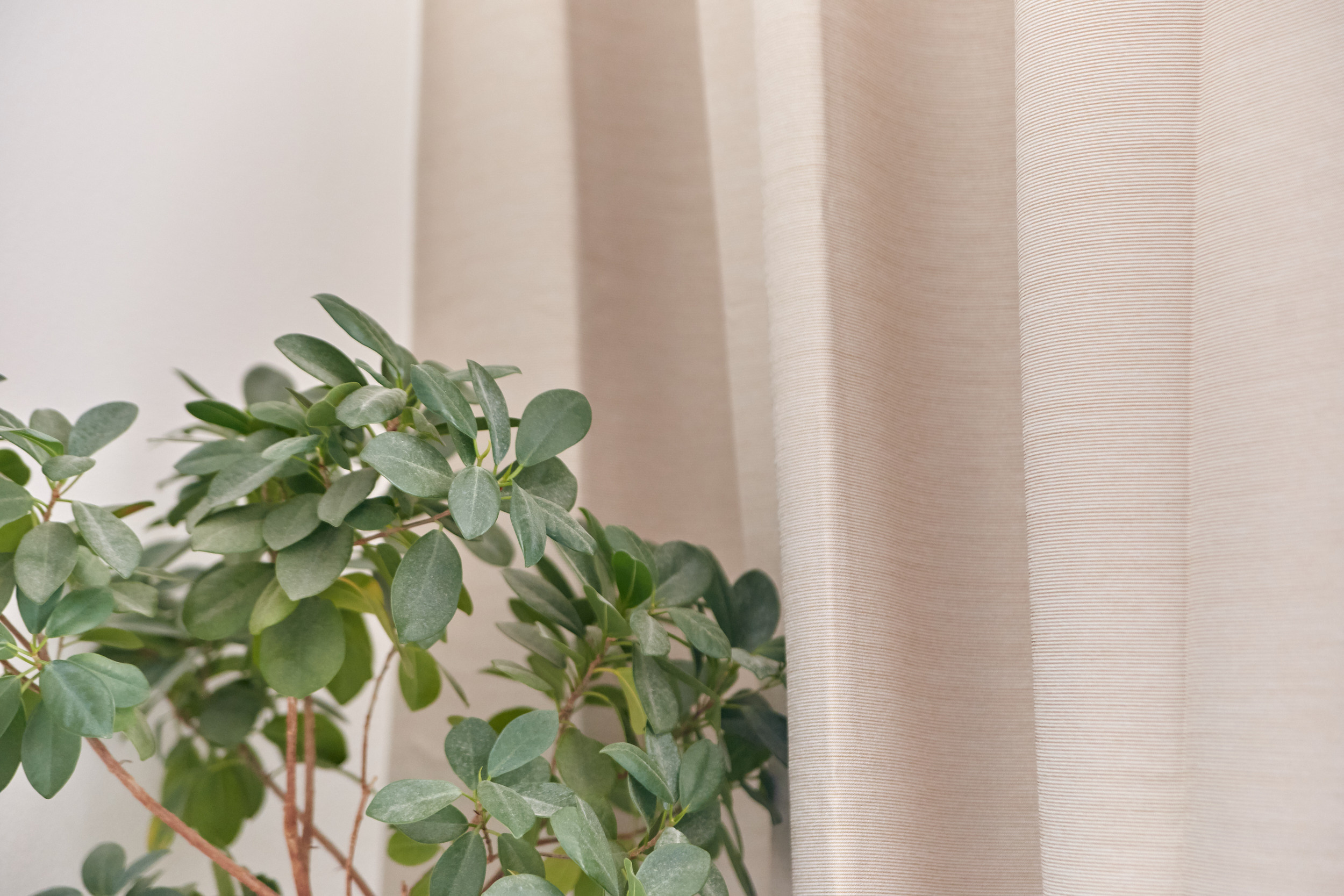 Интерьерная съемка. Свободный фотограф