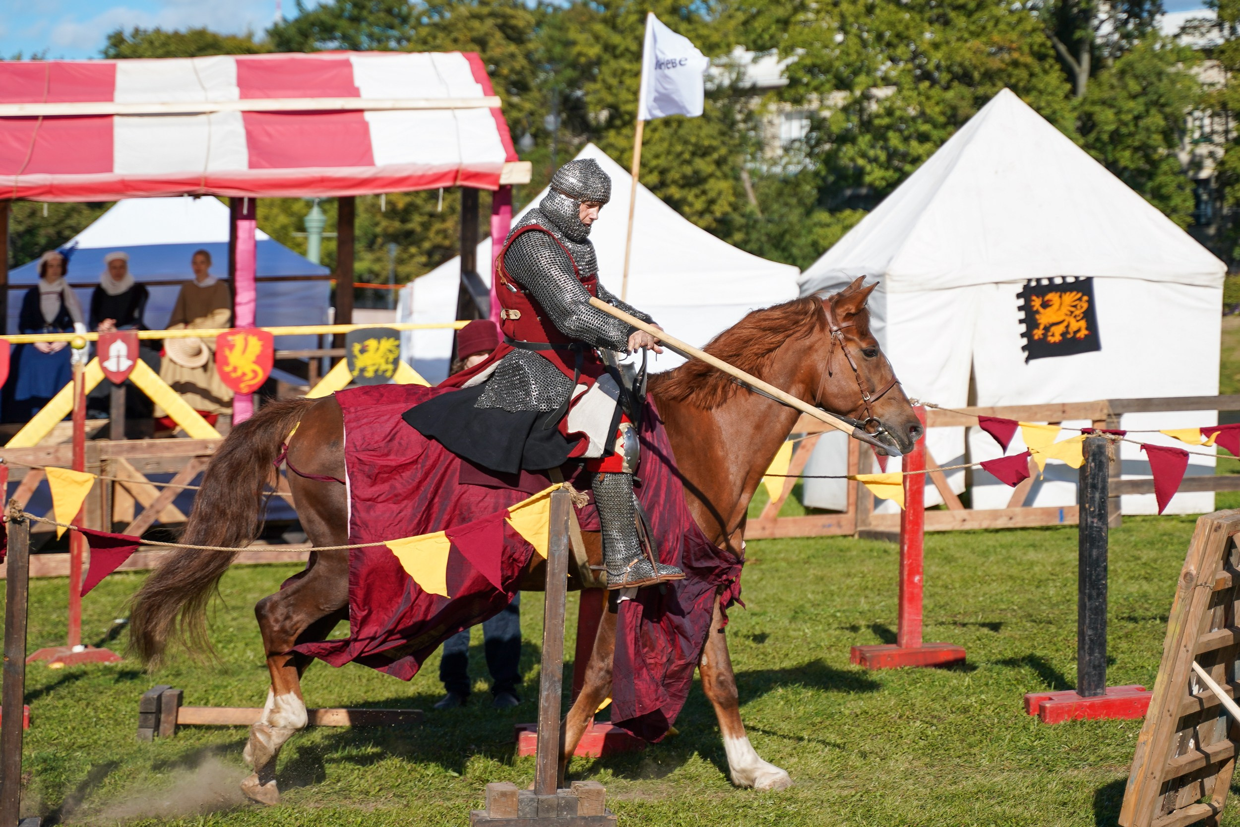 Рыцарский турнир в рамках фестиваля «Битва на Неве» Санкт-Петербург 2024 г. Фотограф-анималист, портретный фотограф в Чебоксарах Мария Садыкова