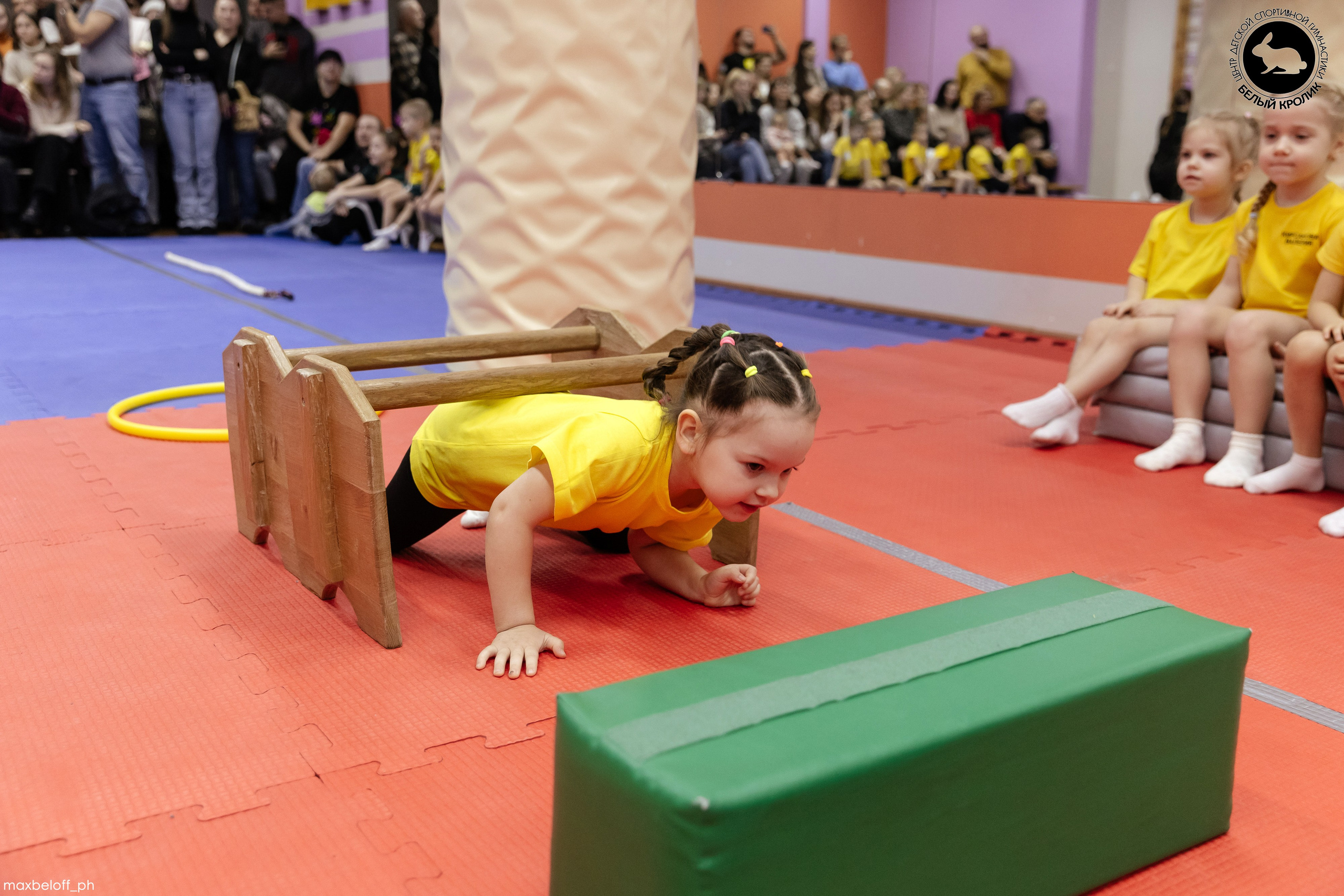 Белый кролик. Соревнования. Семейный фотограф — Макс Белогрудов