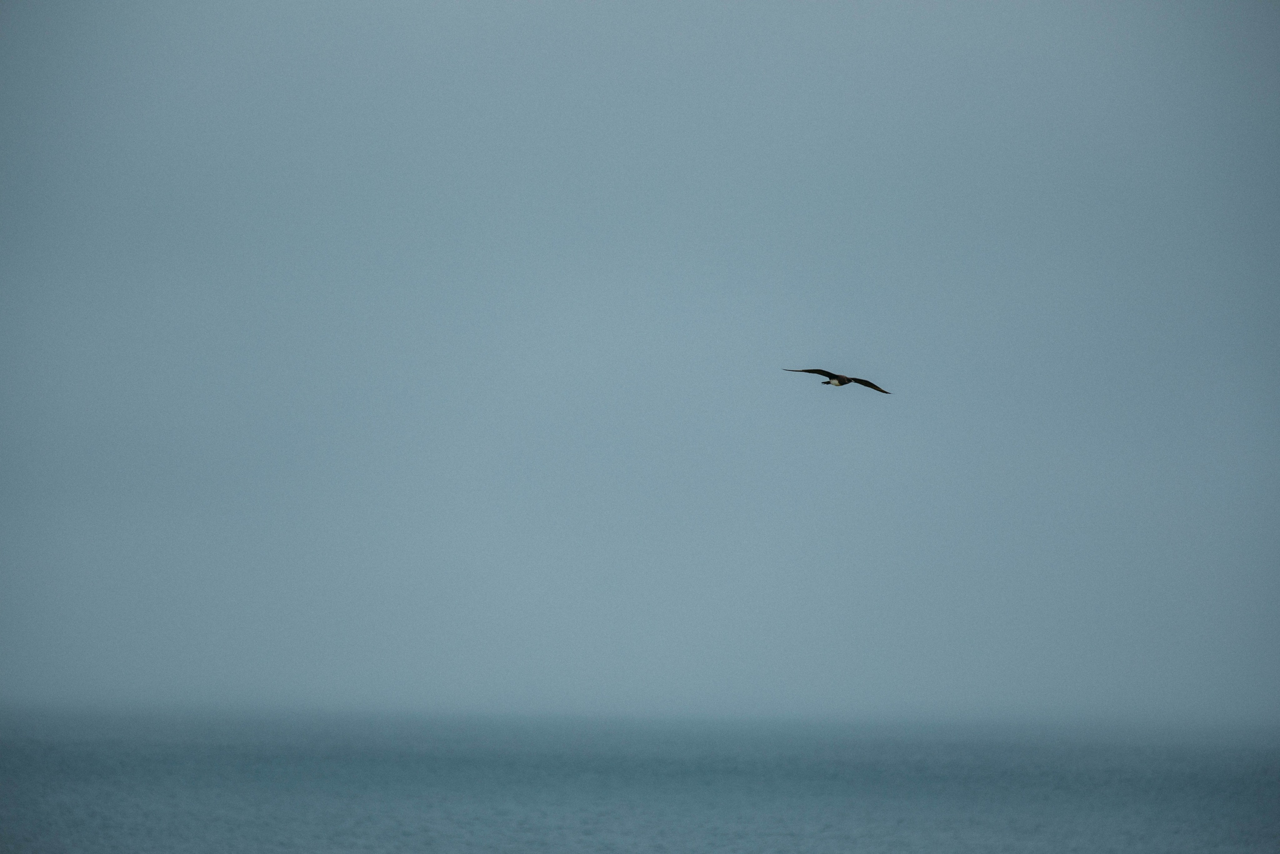 Кольский полуостров. Фотографирую для себя, своей семьи и друзей!