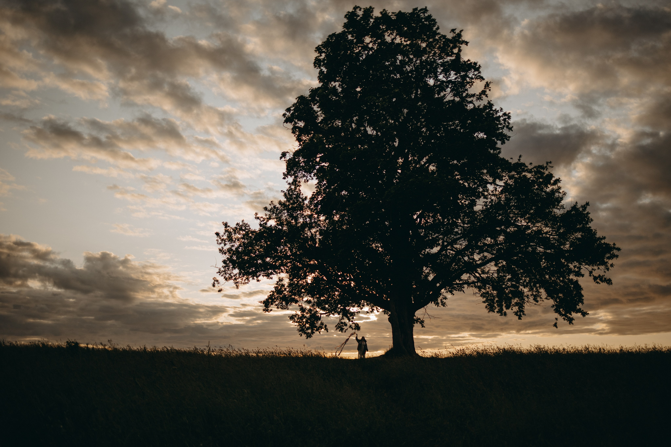Анна и Максимус. Фотограф — Анималист | Санкт-Петербург
