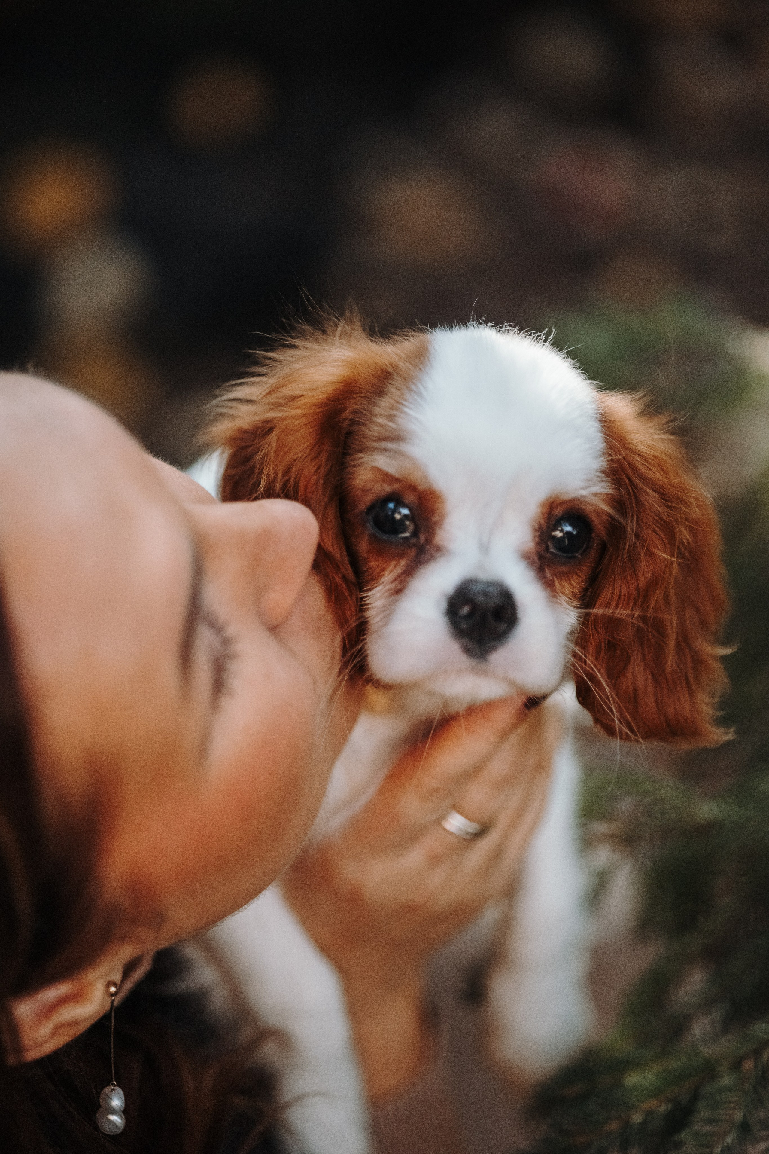 Семейная история. Фотограф — Анималист | Санкт-Петербург