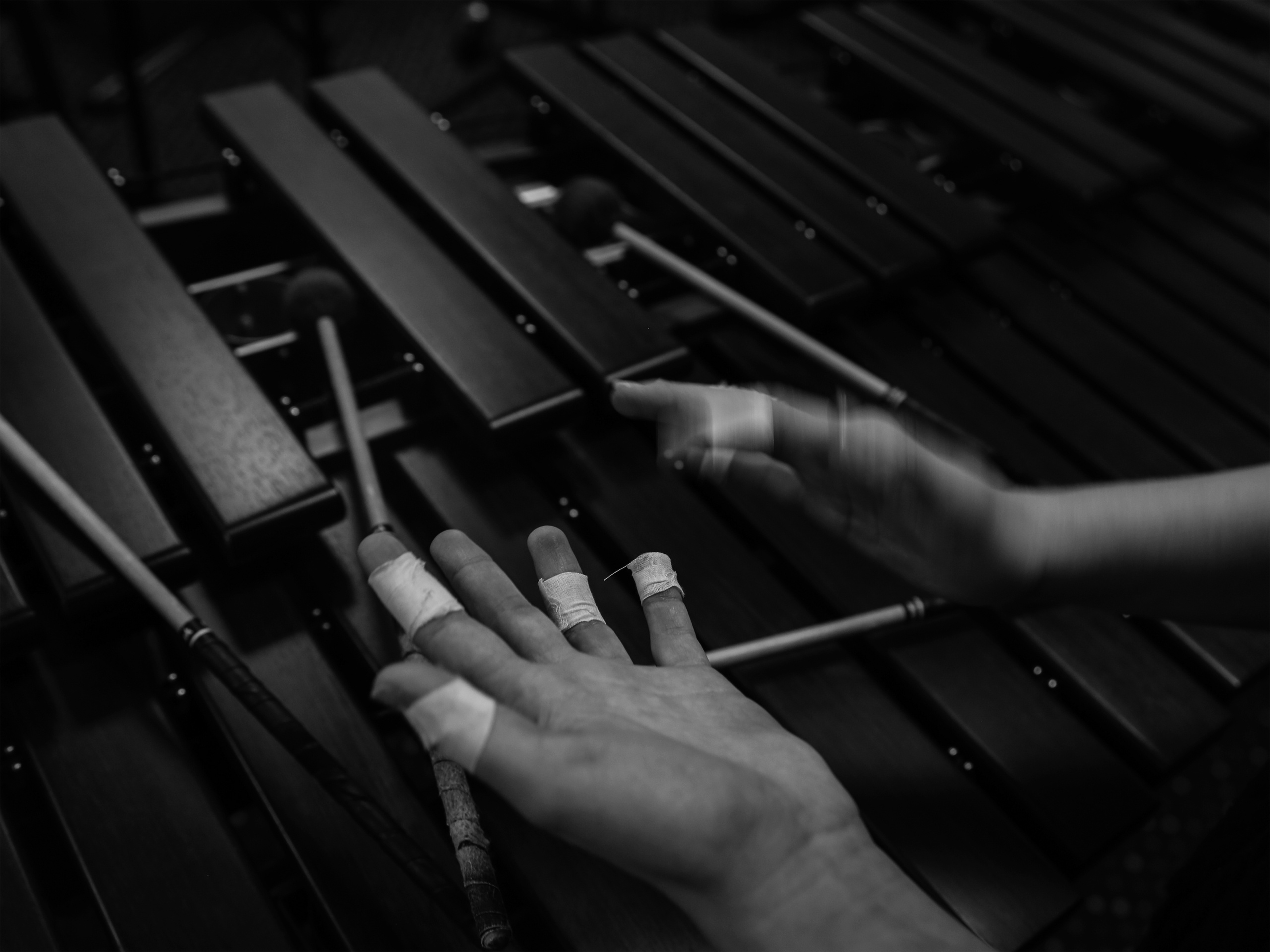 Giftedness. Свадебный фотограф в Санкт-Петербурге Илья Михеев