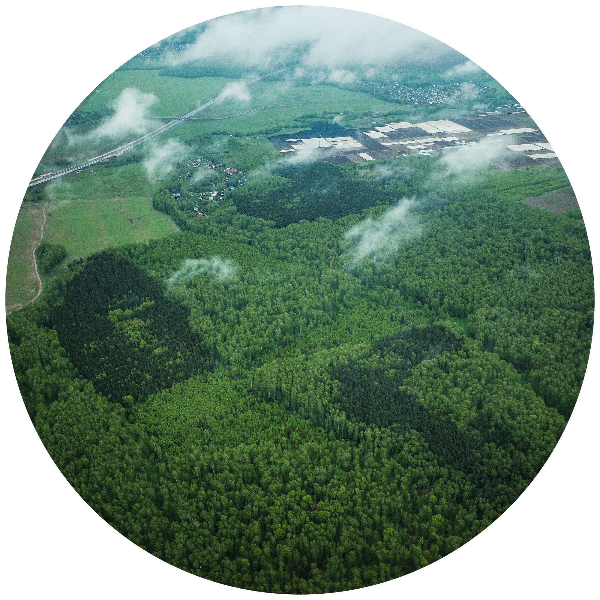 Ситец небес 2024. Яна Каменская