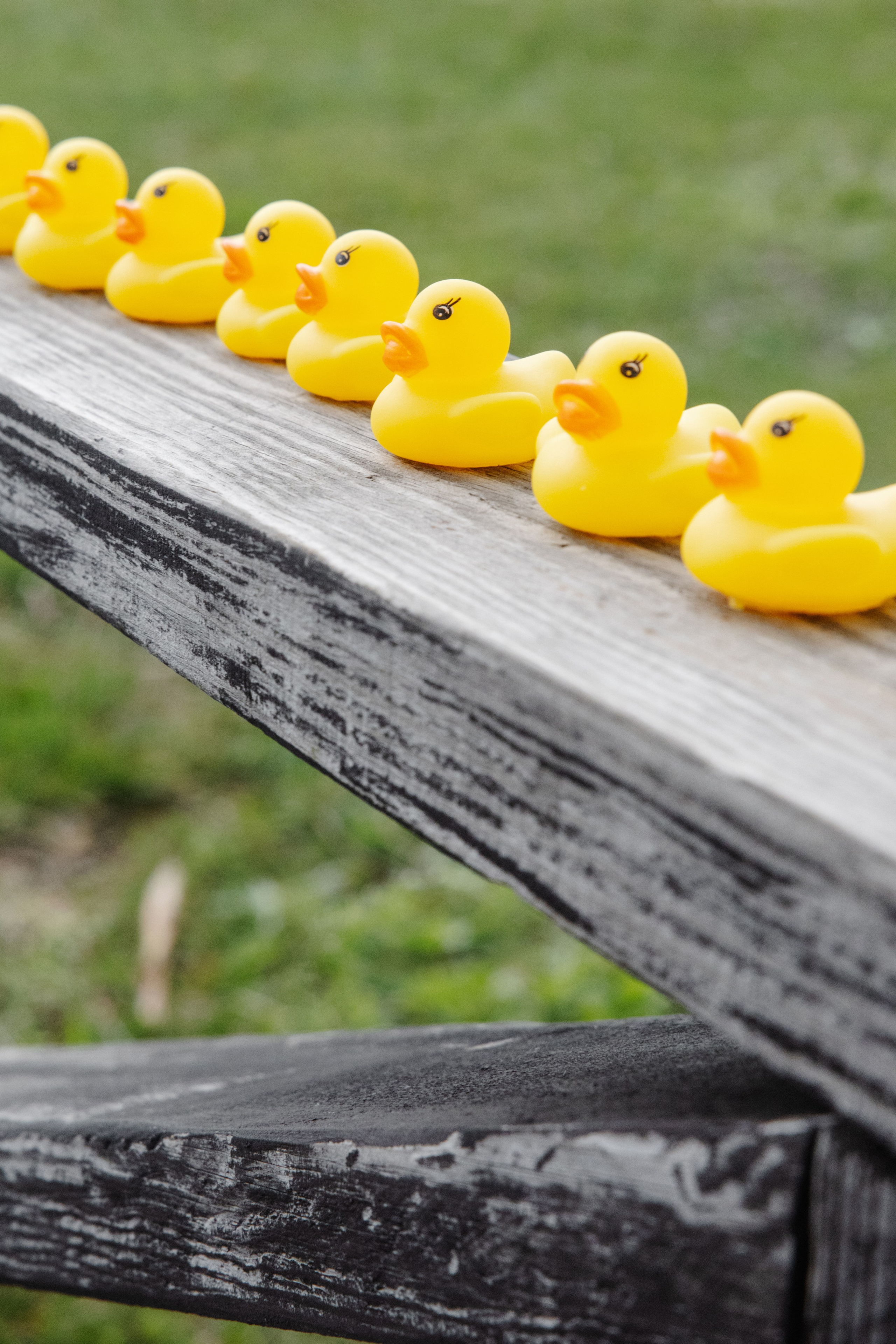 ГЕНДЕР ПАТИ. Фотограф в Красноярске