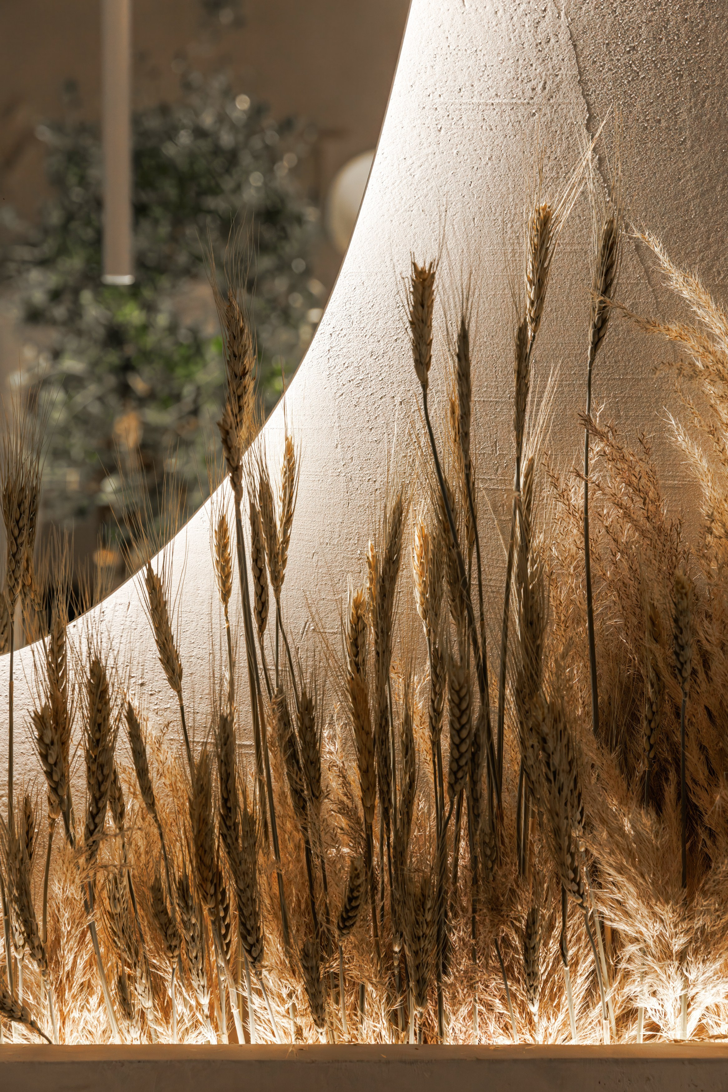 Текстура. Репортажный фотограф в Санкт-Петербурге Жолудев Владислав