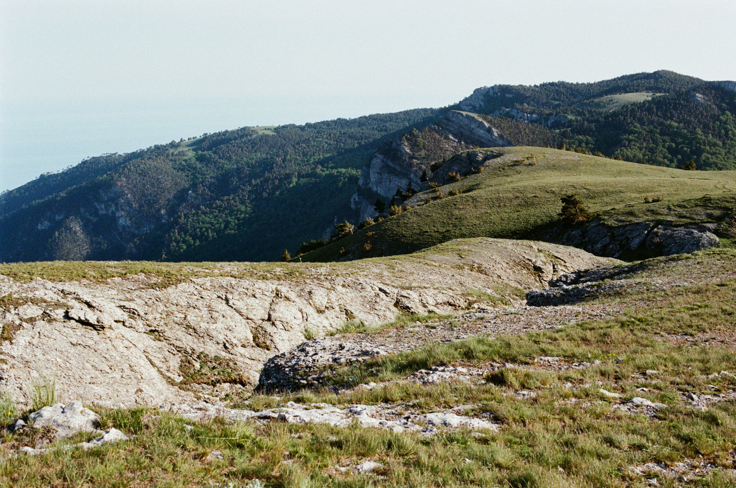Point of no reply // ukraine, crimea III. EVER EXPOSED