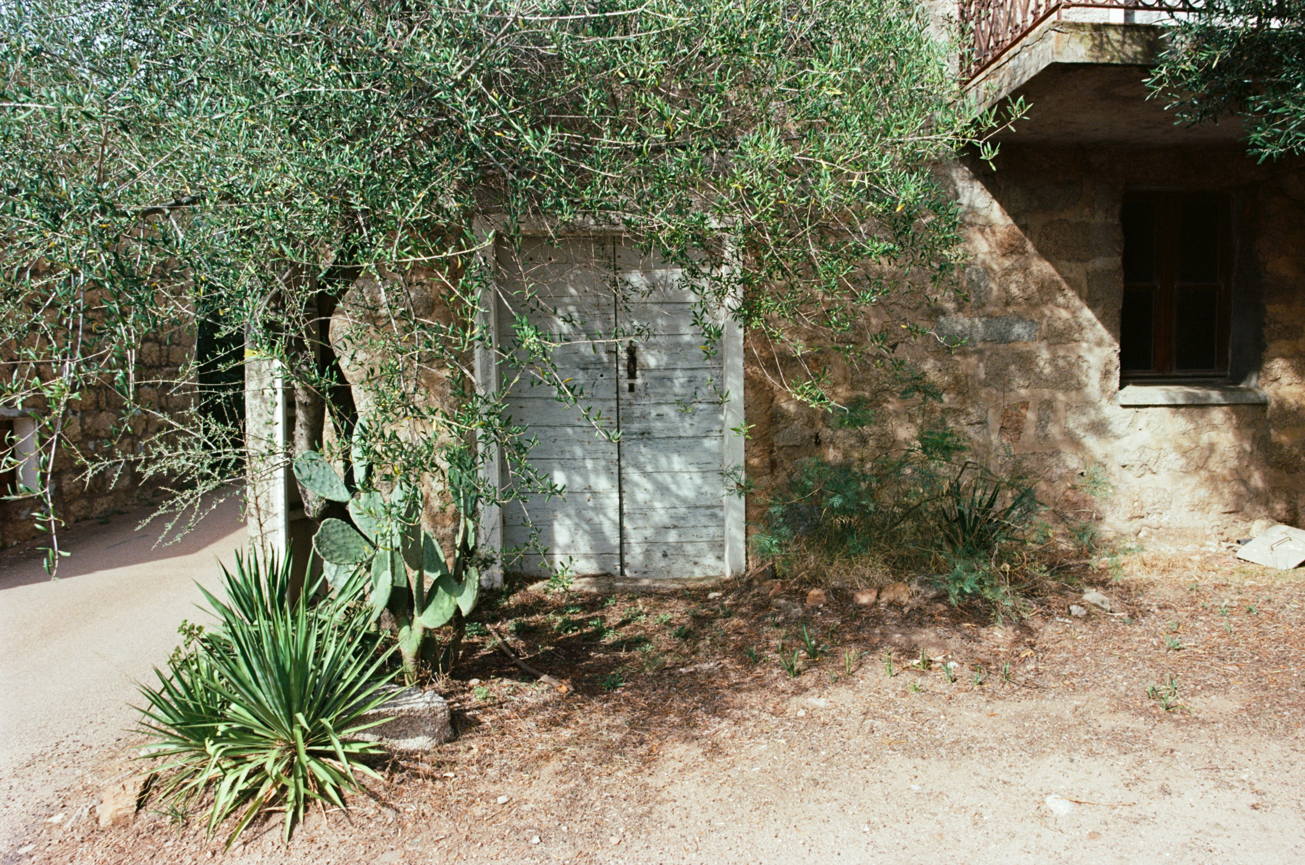 Silence is also an answer // corsica. EVER EXPOSED