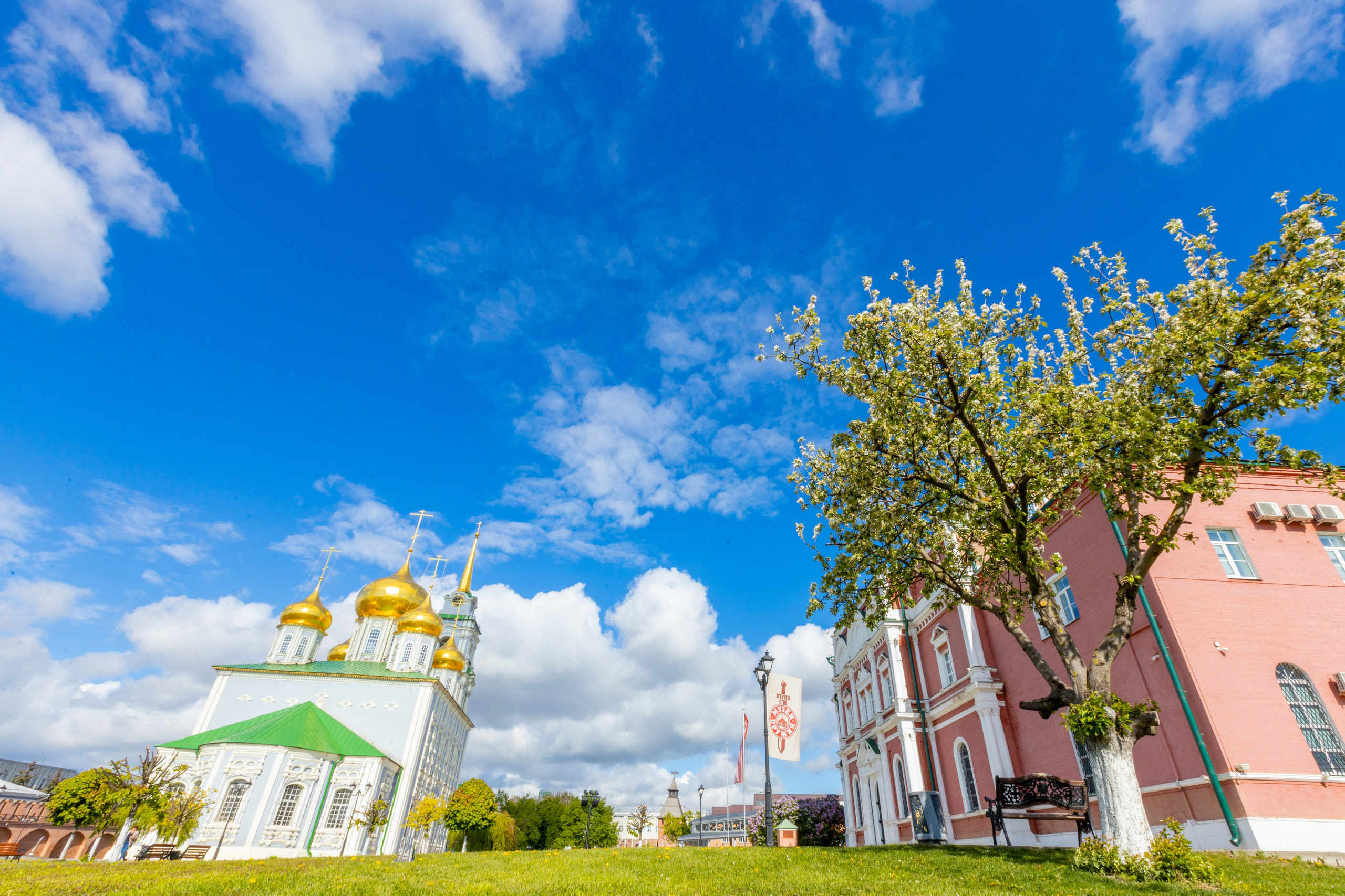 Весеннее цветение в Туле. Фотограф в Туле Крупский АнДРей. Фотостудия «КАДР71» в Туле