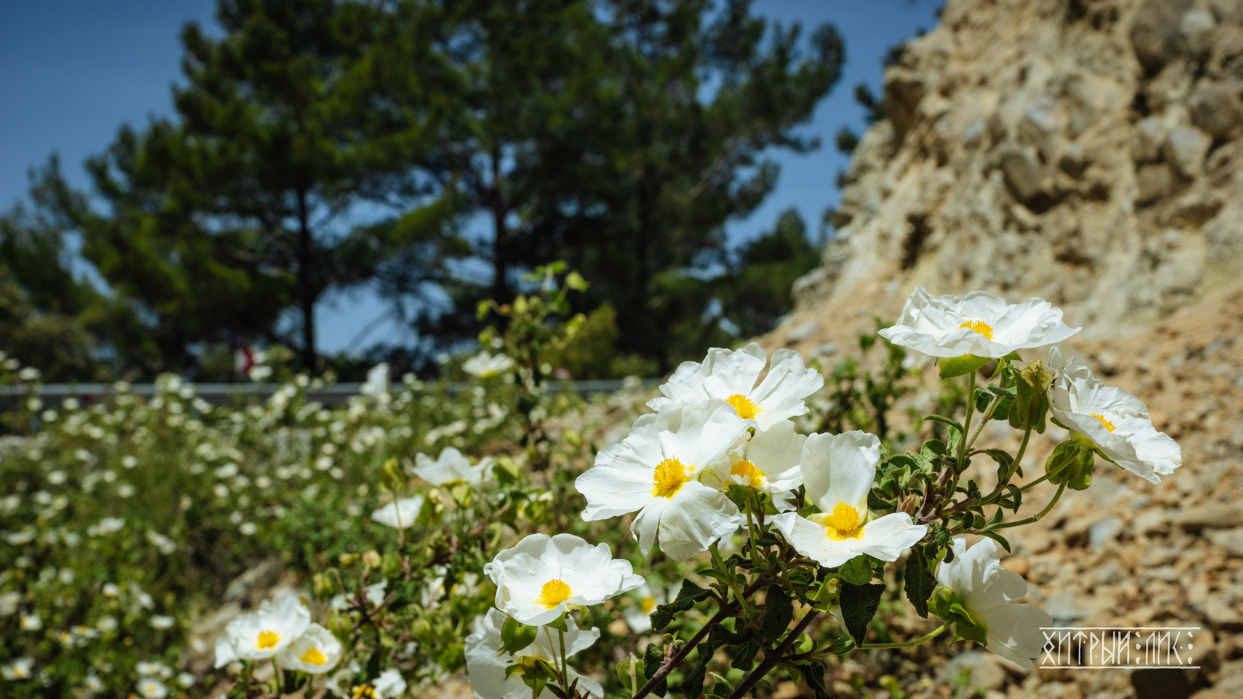 Кипр. Фотограф-путешественник Самойлов Максим «Sly Fox»