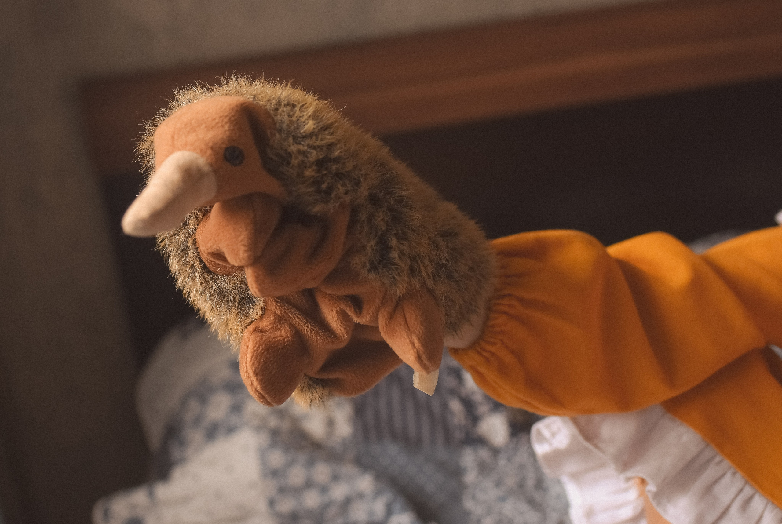 Любовь на просторах. Детский и семейный фотограф в Новосибирске Саша Дорошенко