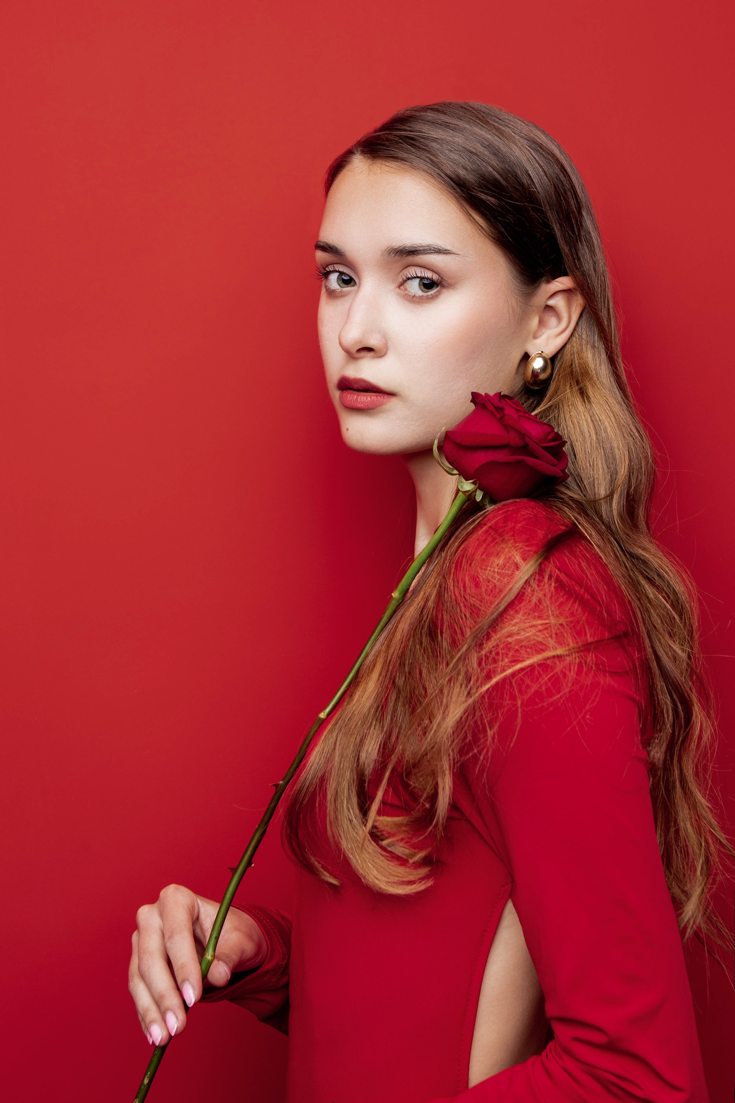 Алая роза. Фотограф Екатерина Голицына