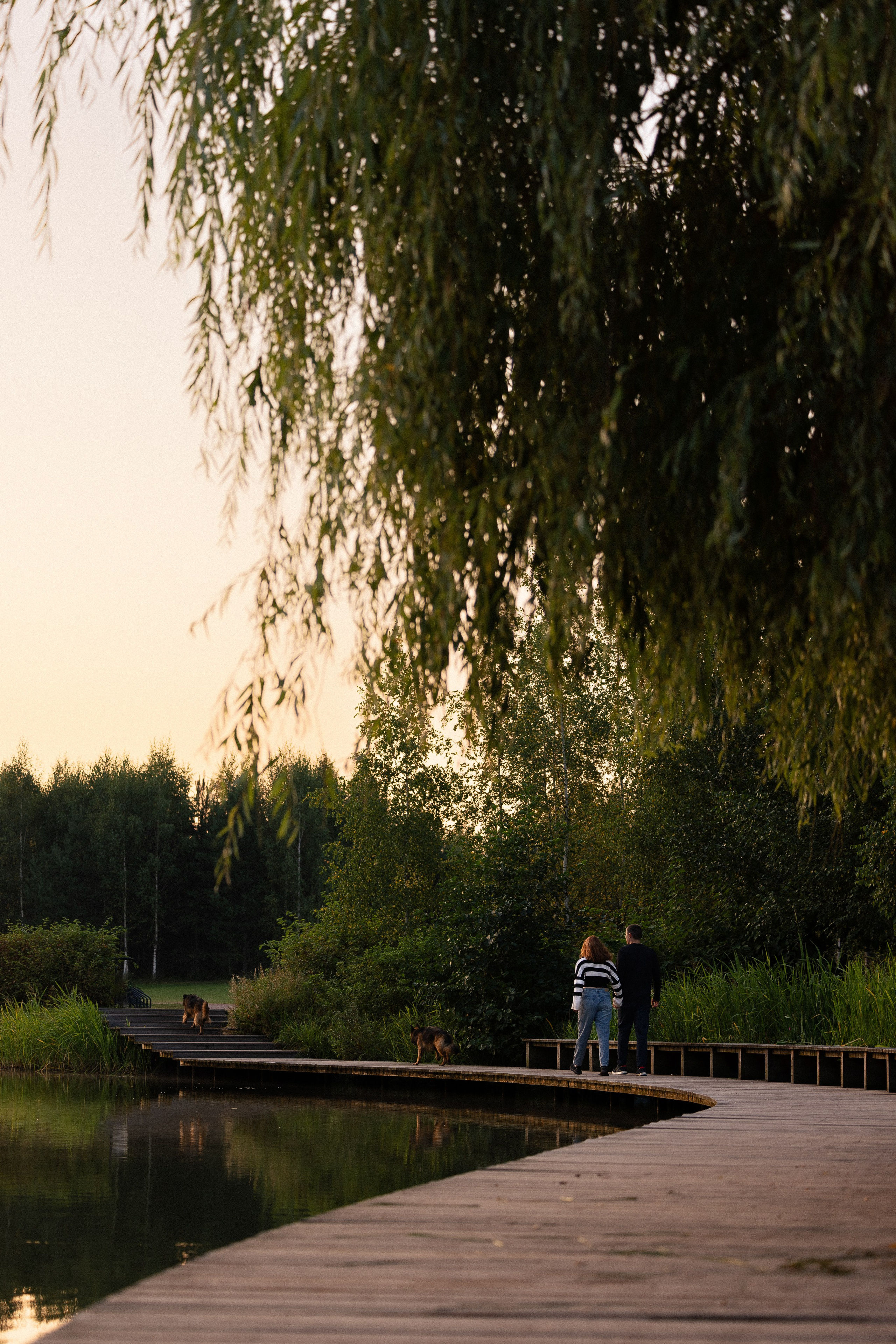 Алена, Матвей, Фанни и Фрея. Фотограф и видеограф анималист Аганина Дарья