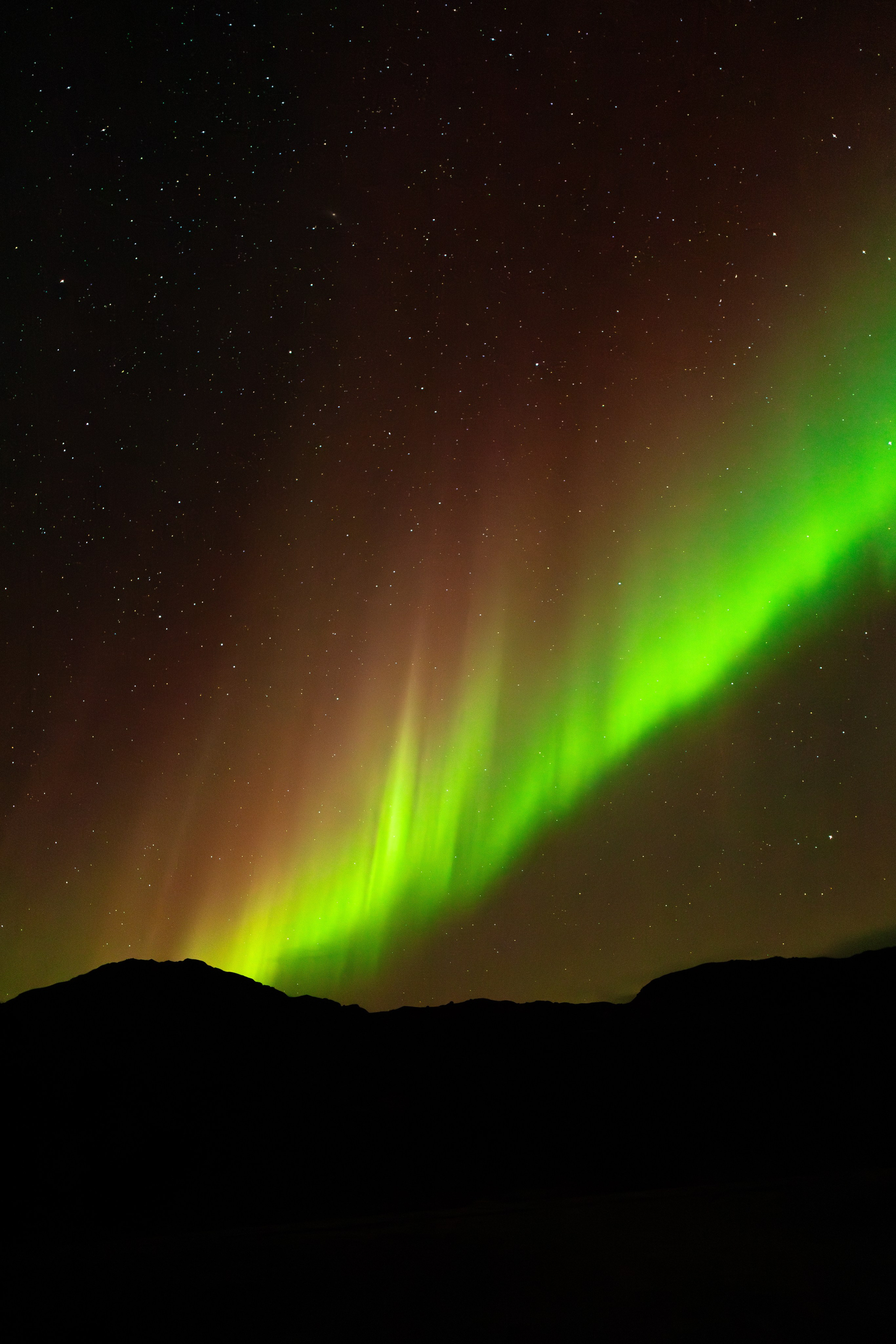 Кольский. Фотограф и видеограф анималист Аганина Дарья