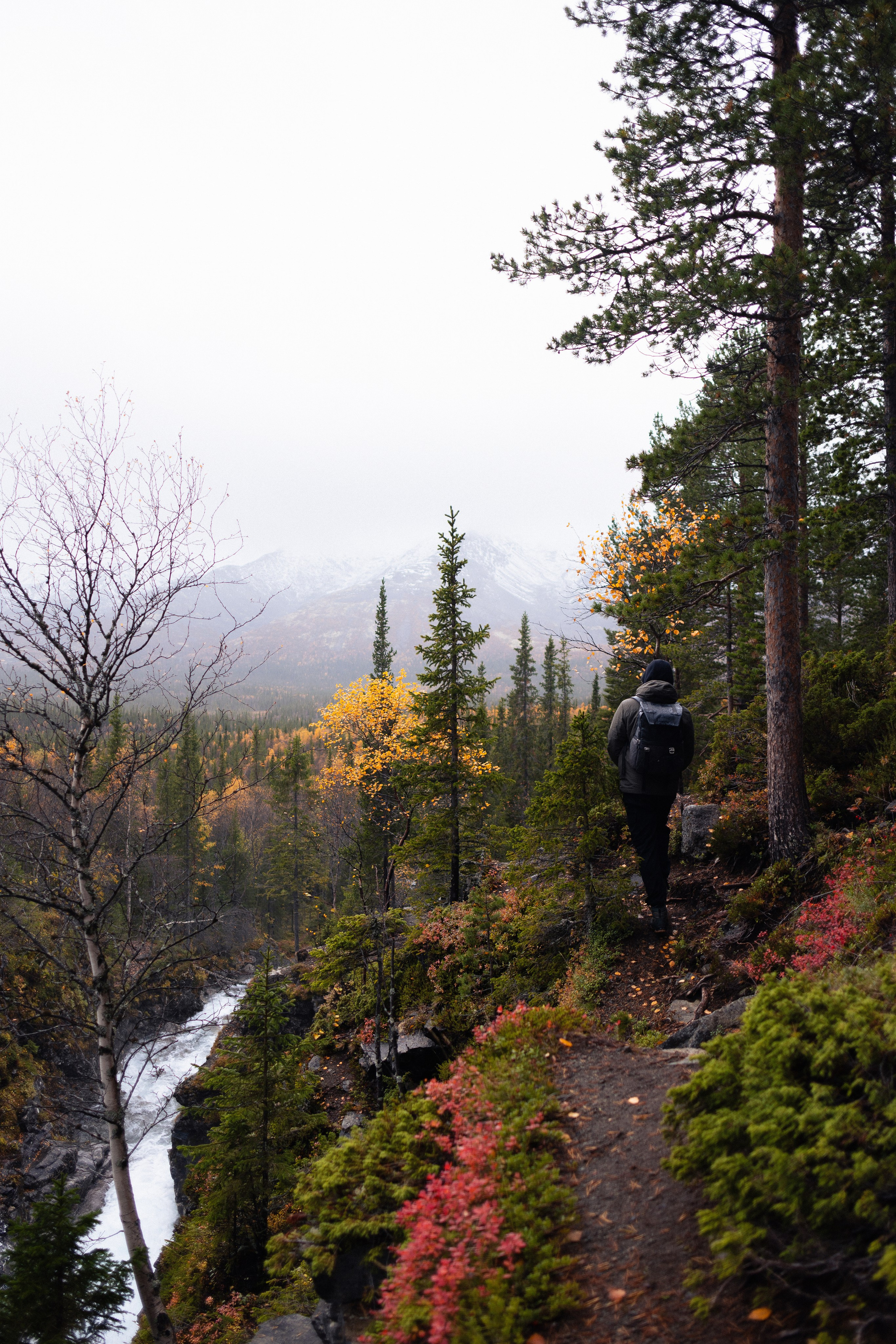 Кольский. Фотограф и видеограф анималист Аганина Дарья