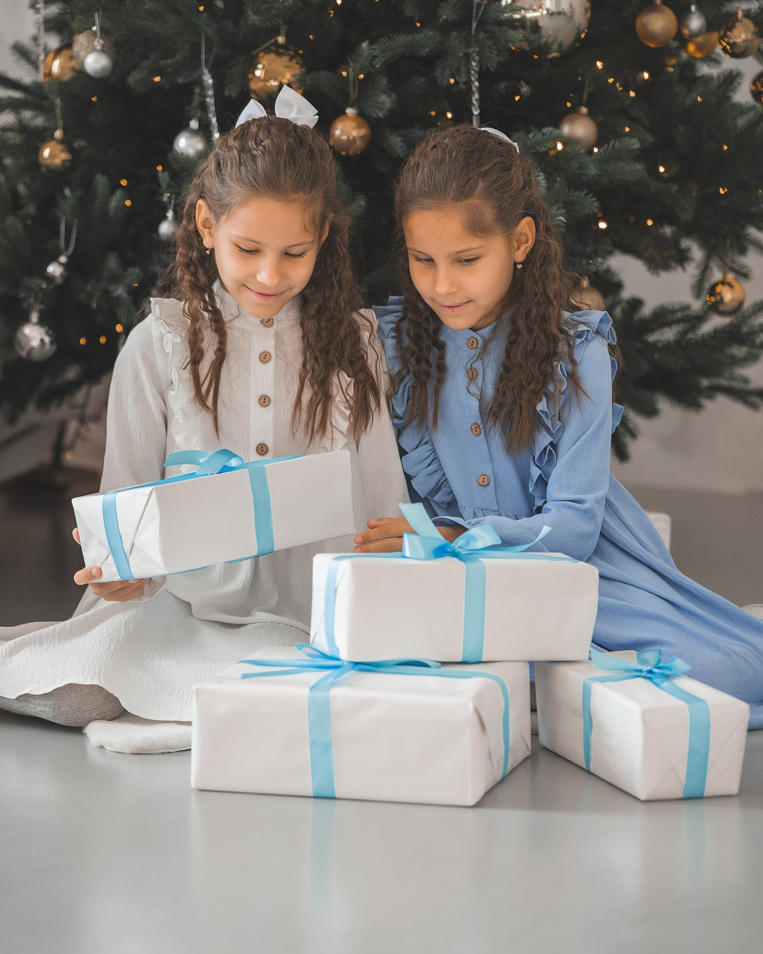 Новогоднее Близняшки. Фотограф г. Хабаровск