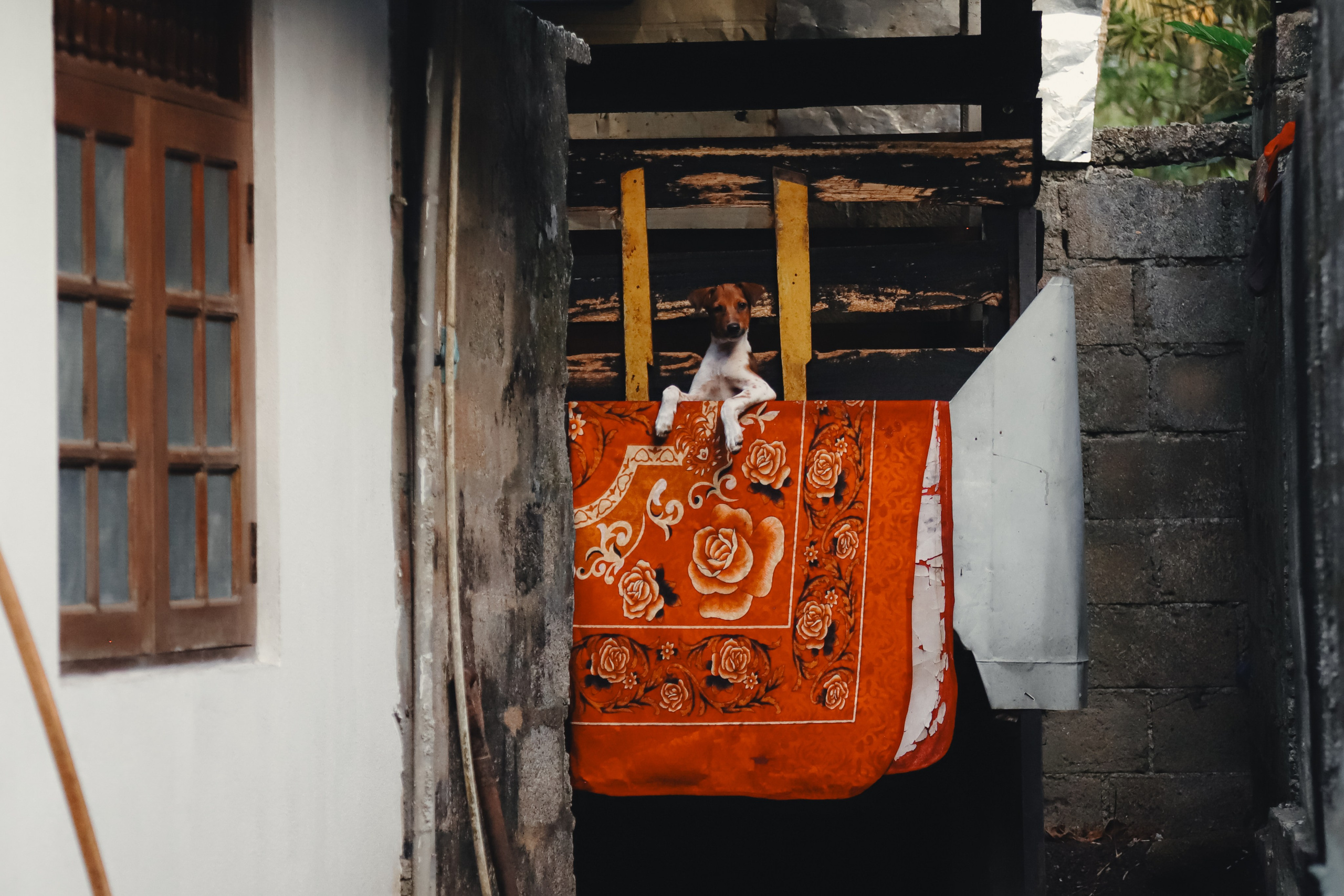 Шри-Ланка. Фотограф Юля Постнова