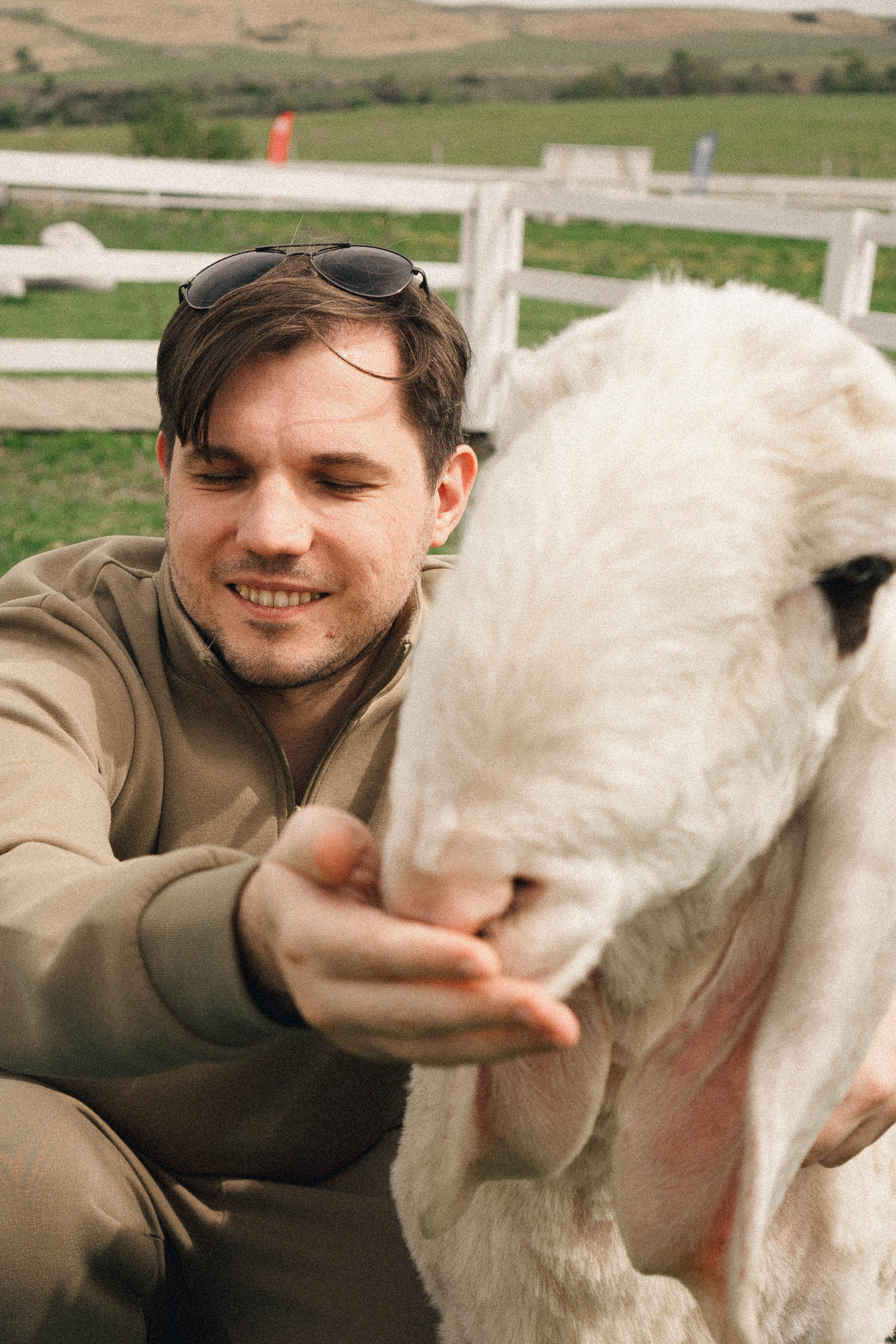 Ферма Альпак. Профессиональный фотограф, Санкт-Петербург — Виктория Богомолова