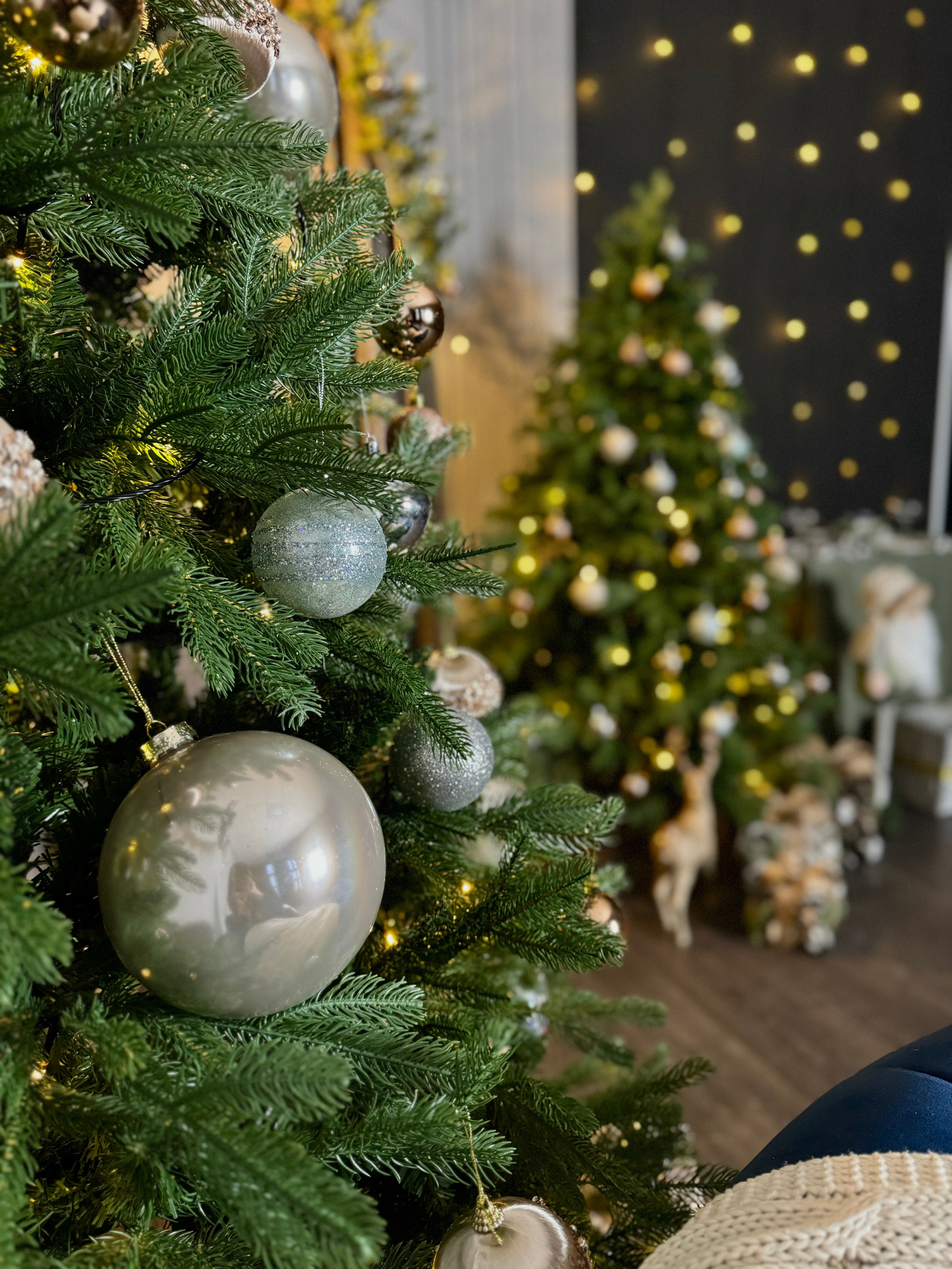 Зал Честер. Фотограф г. Хабаровск. Семейные и индивидуальные съёмки