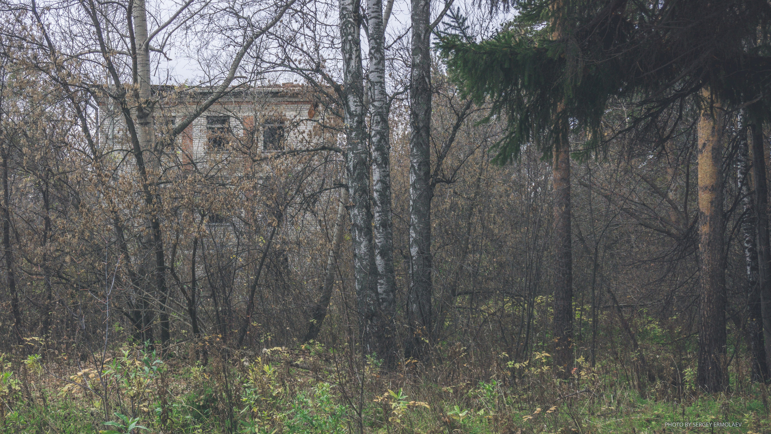 На тропах старинного парка