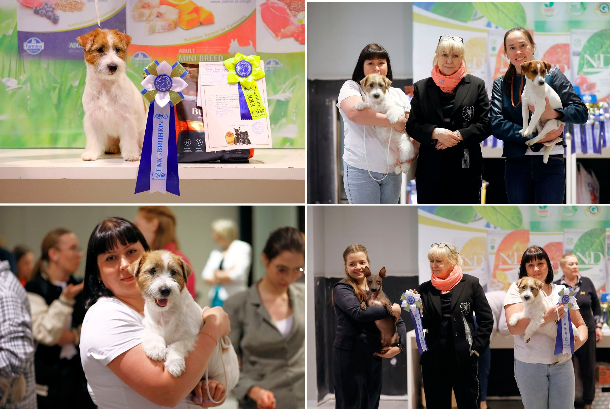 Port Fortis Xtreme Beauty