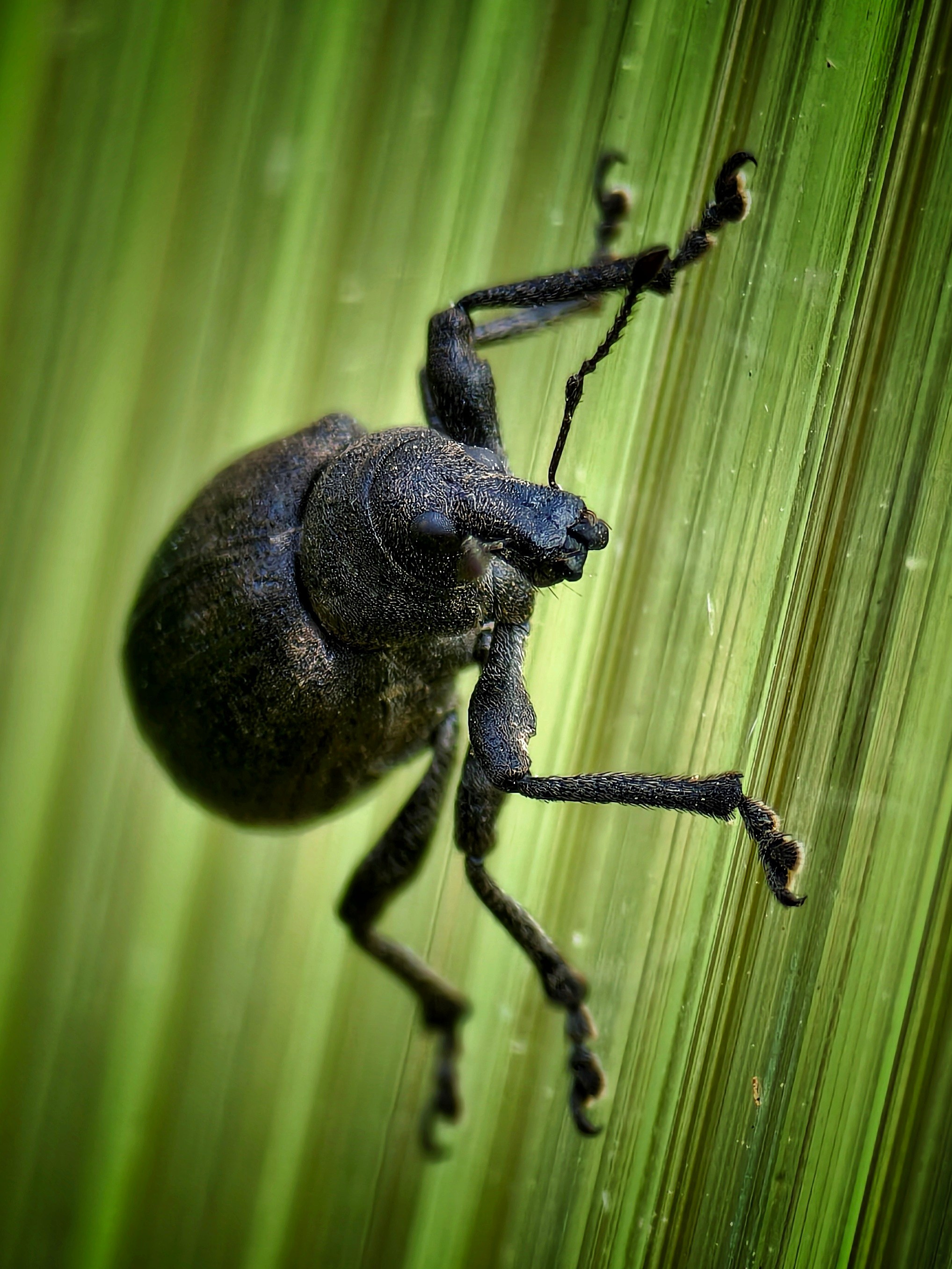 Большое в малом