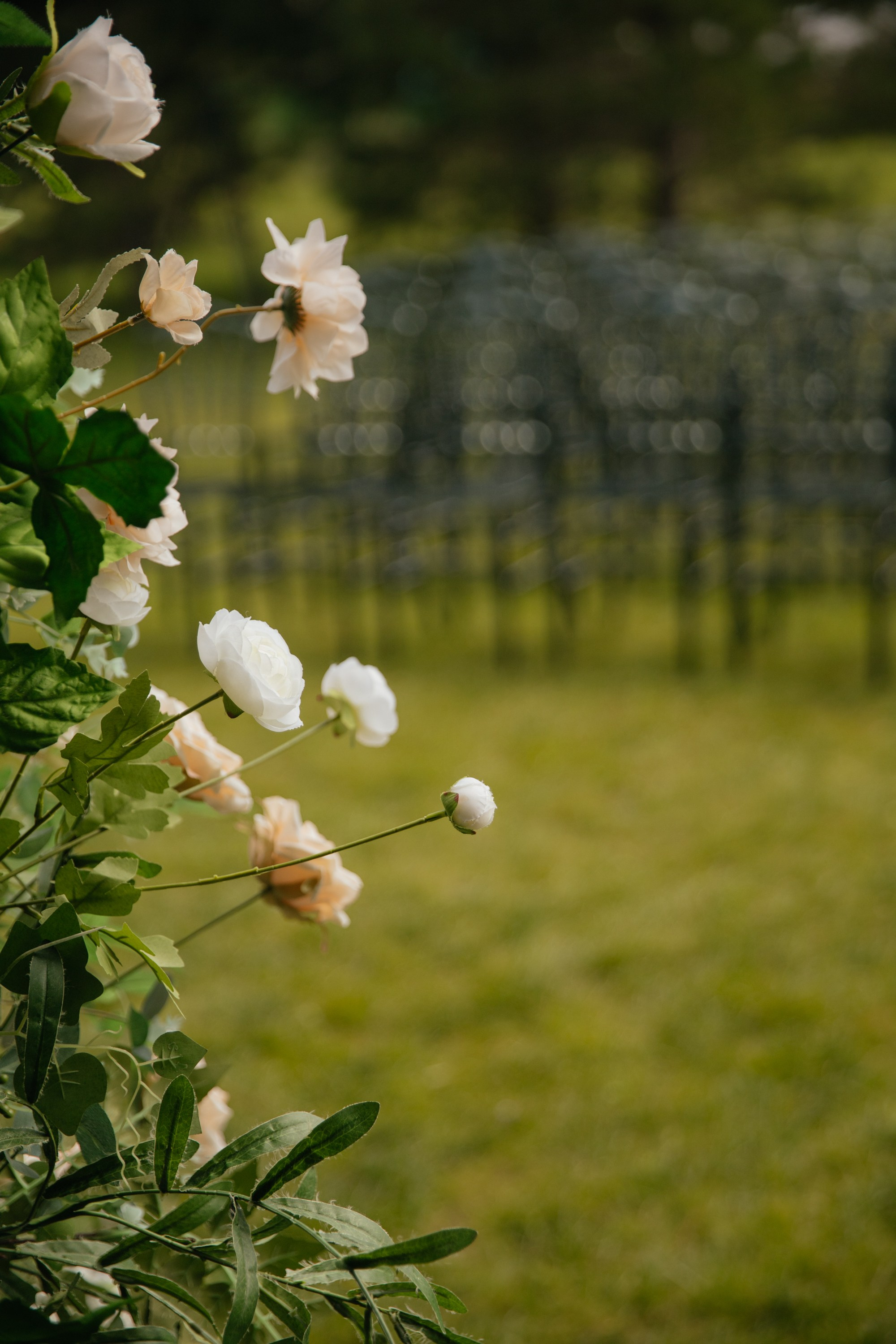 Николай и Татьяна. Фотограф Барнаул Полина Теплова