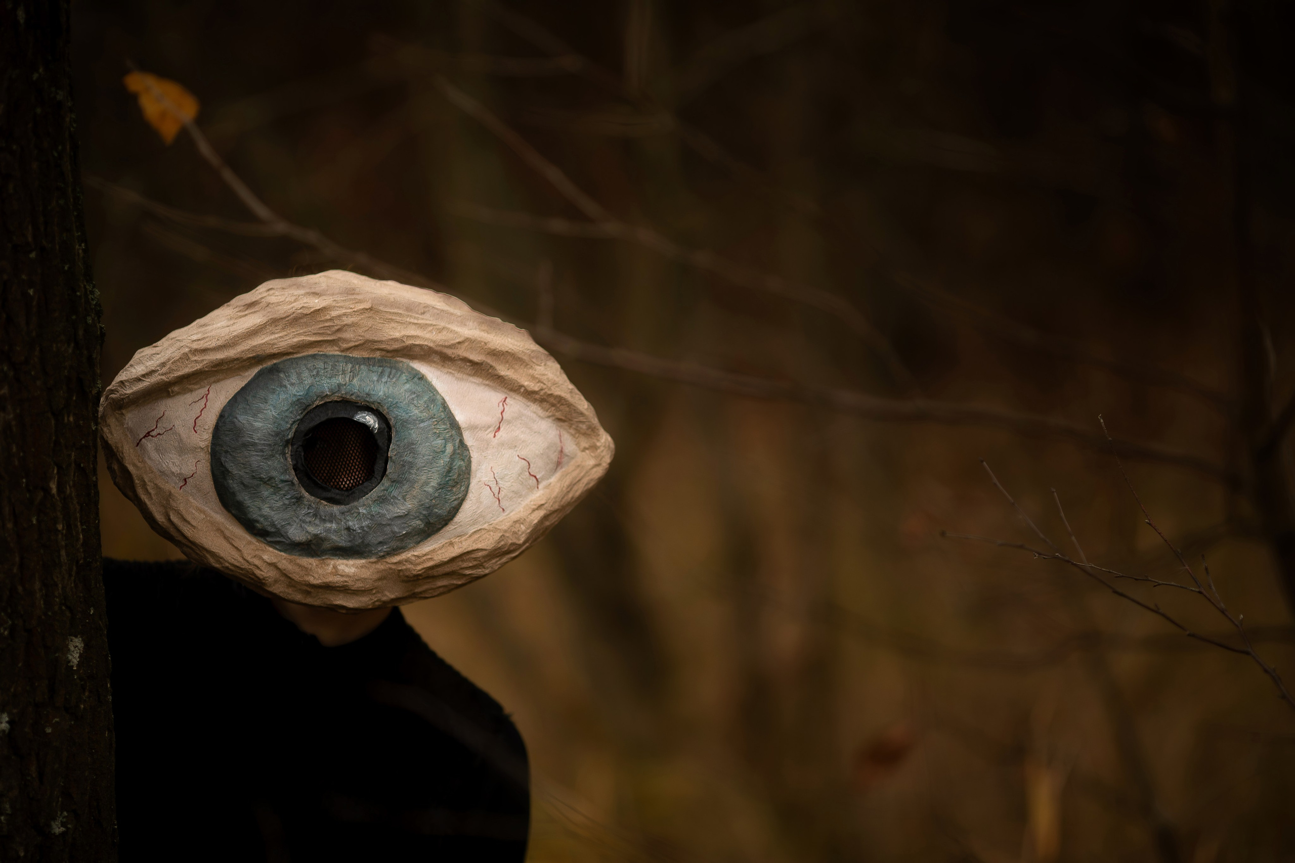 Фотопроект «Духи леса» — маски из папье-маше, свет и тишина природы. Фотограф Анна Грошикова — авторская съёмка на рассвете и закате в Москве, Мытищах, Солнечногорске и Московской области