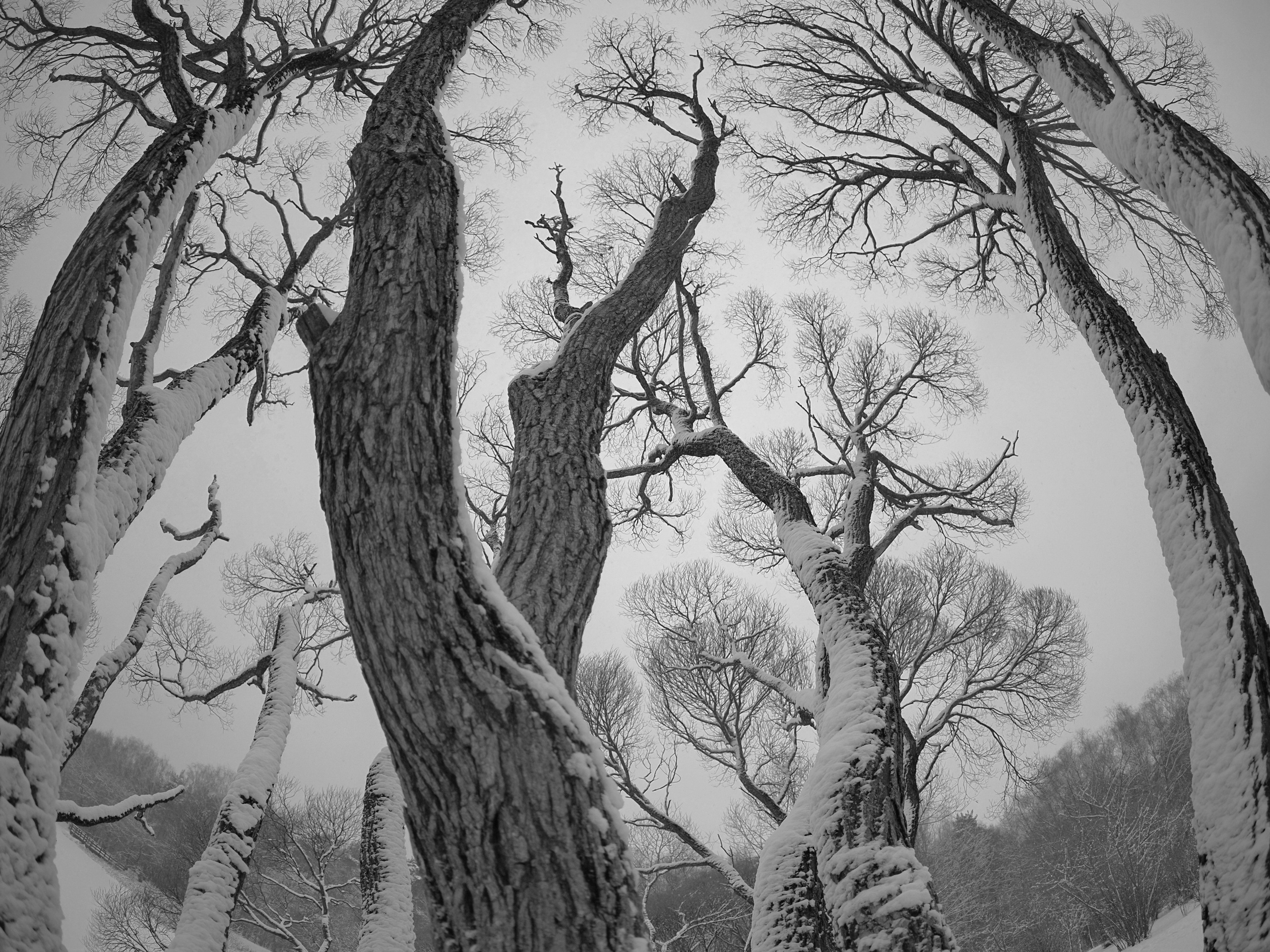 На печать. Художник и фотограф. Писатель. Виктор