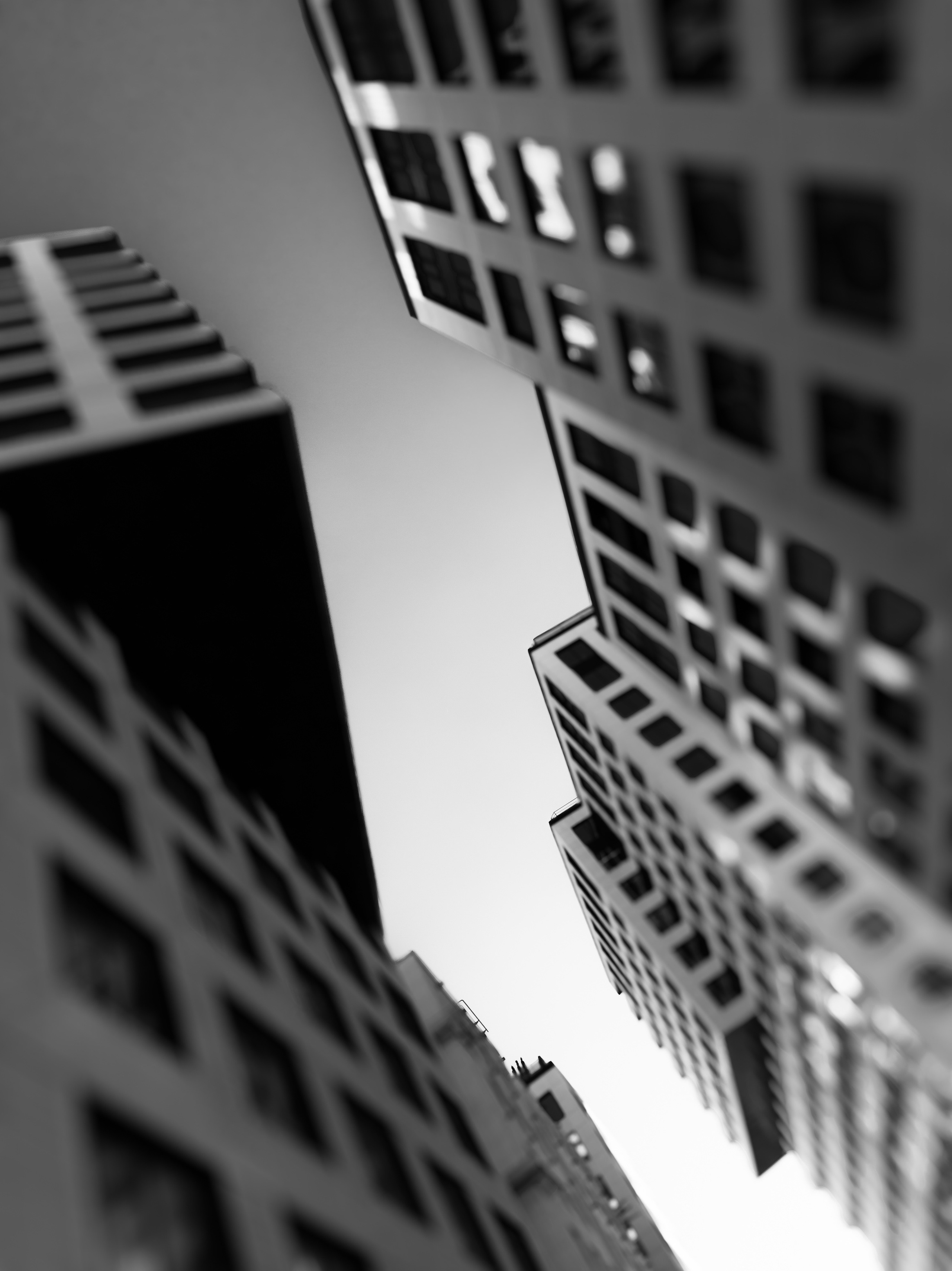 Архитектура. Художник и фотограф. Писатель. Виктор