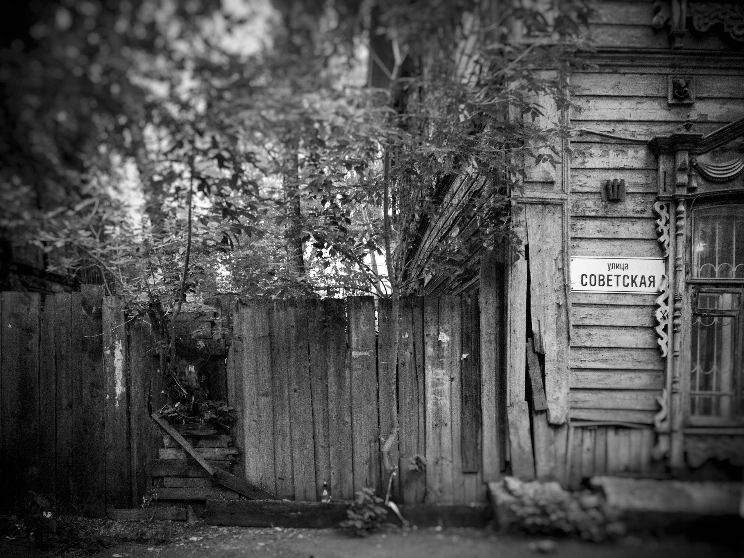 Архитектура. Художник и фотограф. Писатель. Виктор