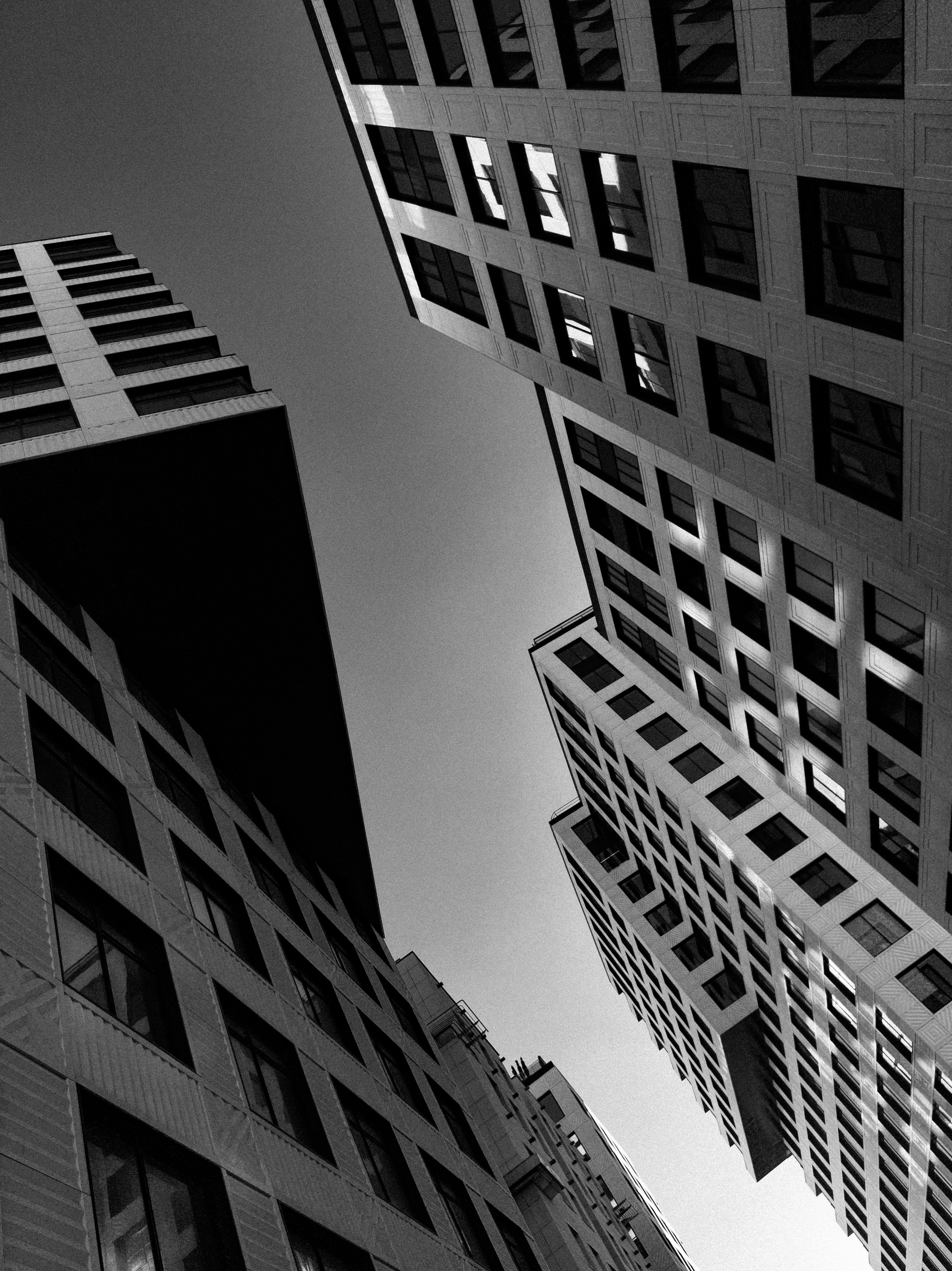 Архитектура. Художник и фотограф. Писатель. Виктор