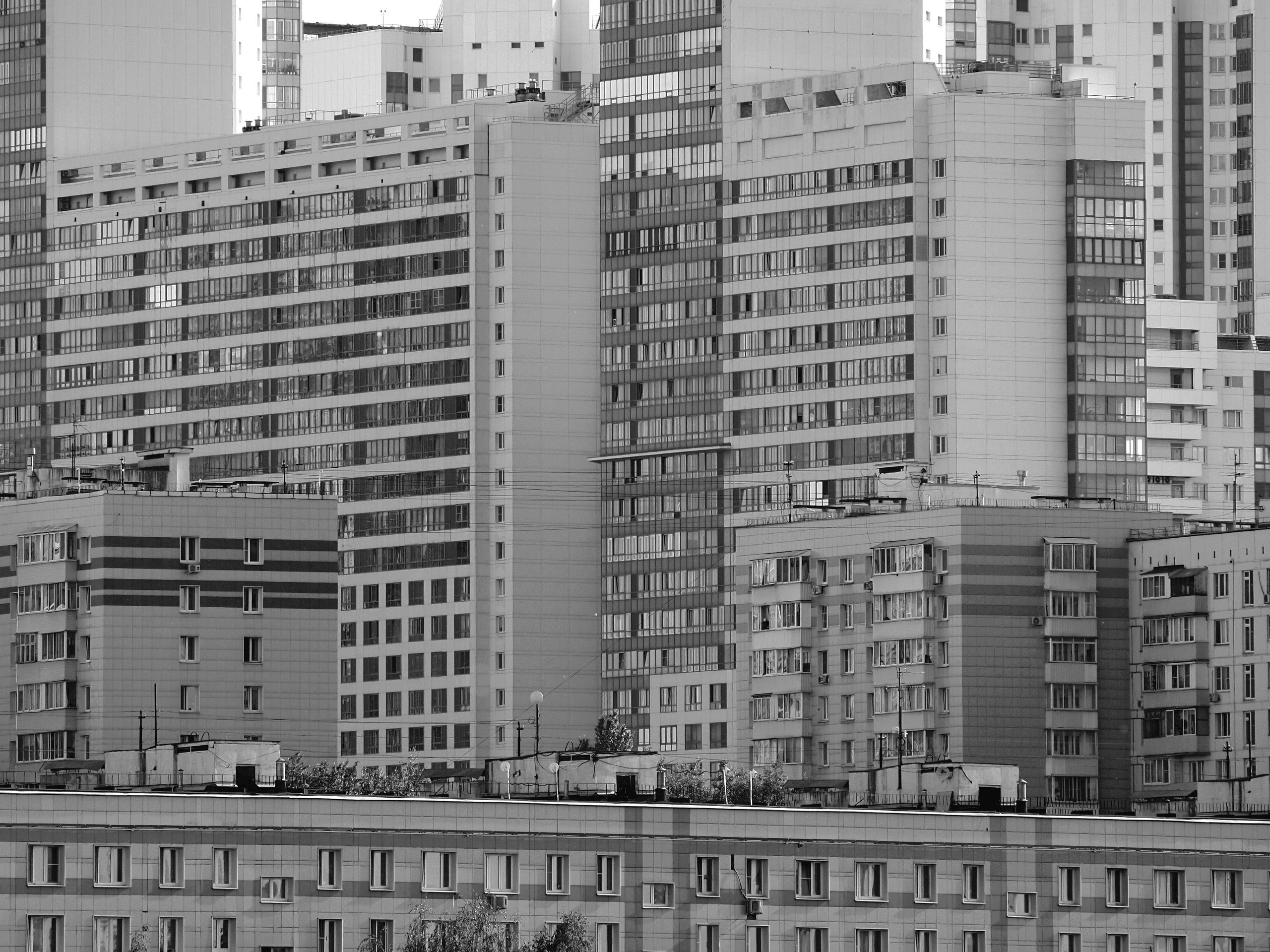 Архитектура. Художник и фотограф. Писатель. Виктор