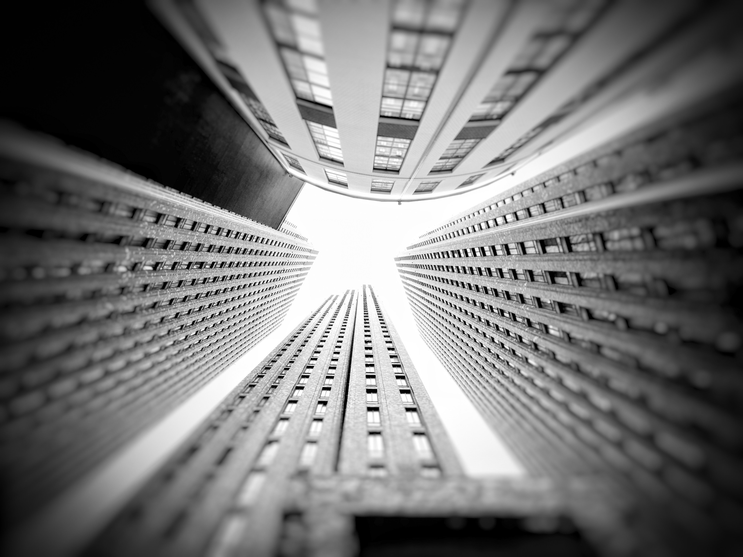 Архитектура. Художник и фотограф. Писатель. Виктор