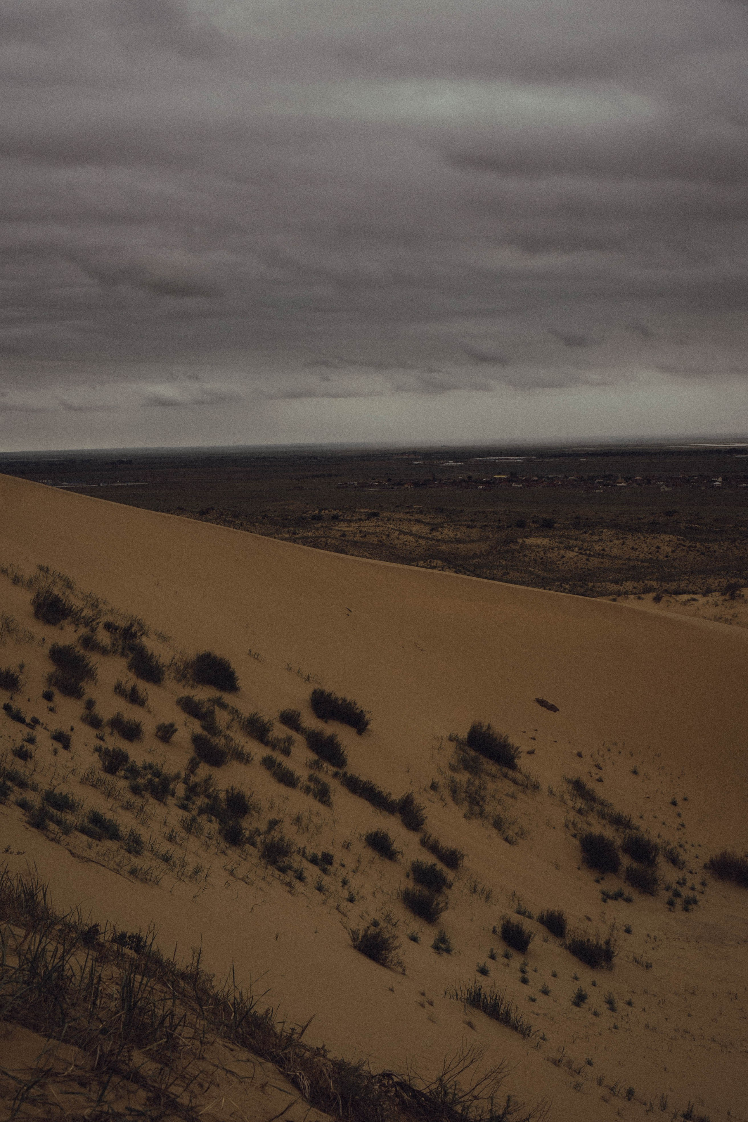 Кавказ. Профессиональный фотограф, Санкт-Петербург — Виктория Богомолова