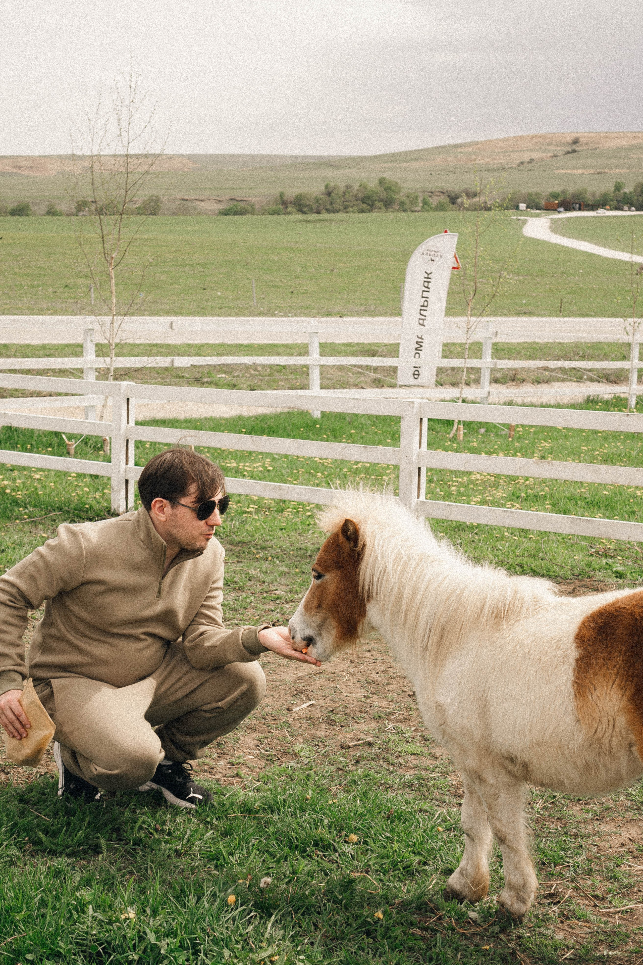 Ферма Альпак. Профессиональный фотограф, Санкт-Петербург — Виктория Богомолова