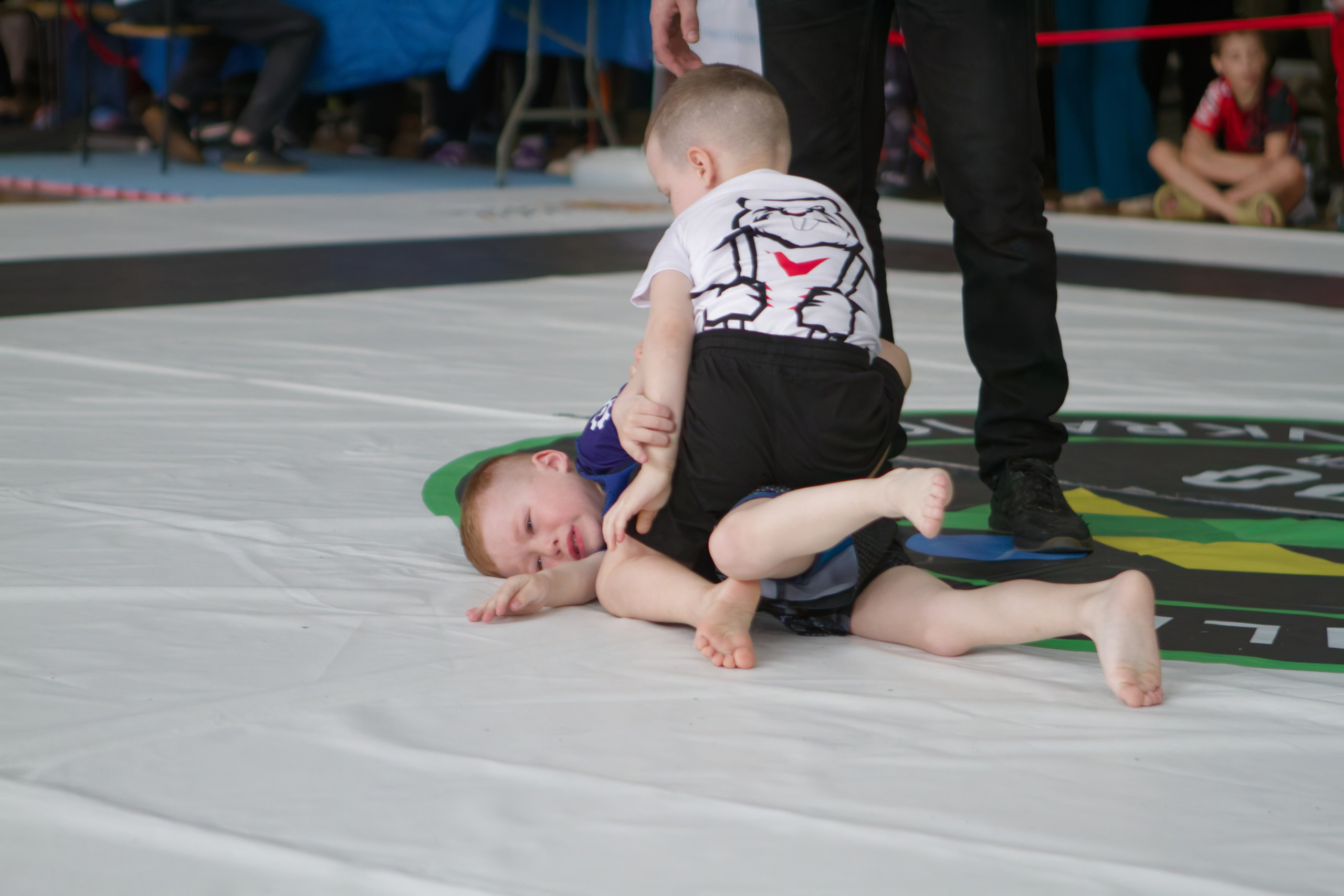Борьба. Джиу-джитсу 26.04.2025. Репортажный и спортивный фотограф в г. Пермь Зильберг Павел